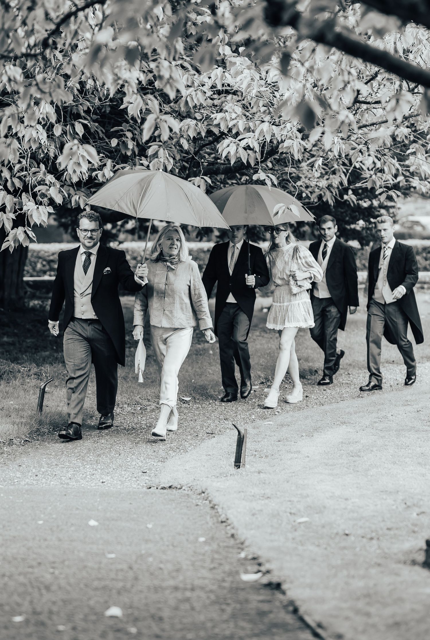Black and white photo of wedding guests in formal attire walking along a tree-lined path, two sharing umbrellas.