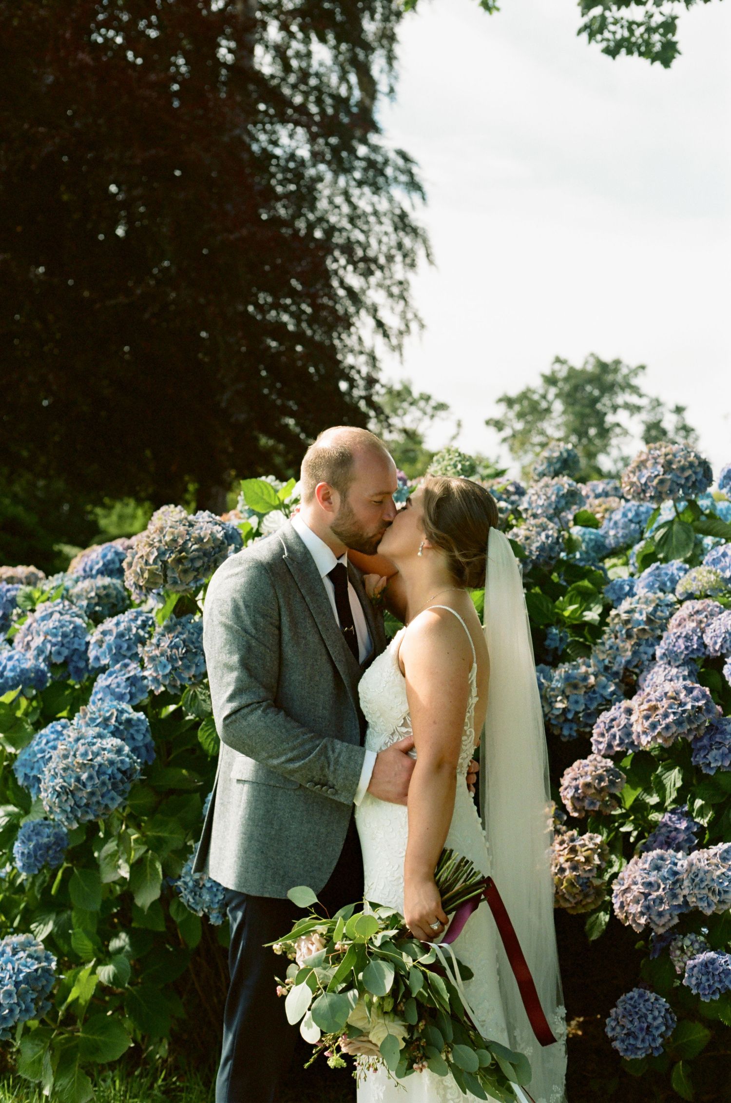 A romantic wedding couple shares intimate moments among blooming blue hydrangea bushes in a garden setting.