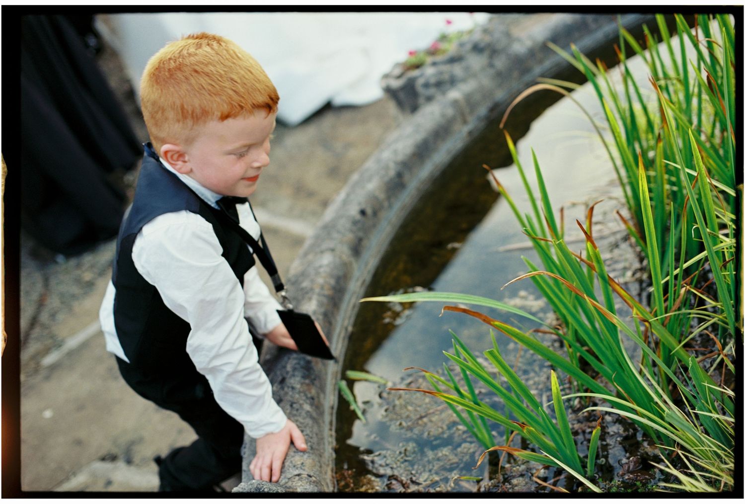 Young child in formal vest and white shirt curiously explores pond plants near water's edge.