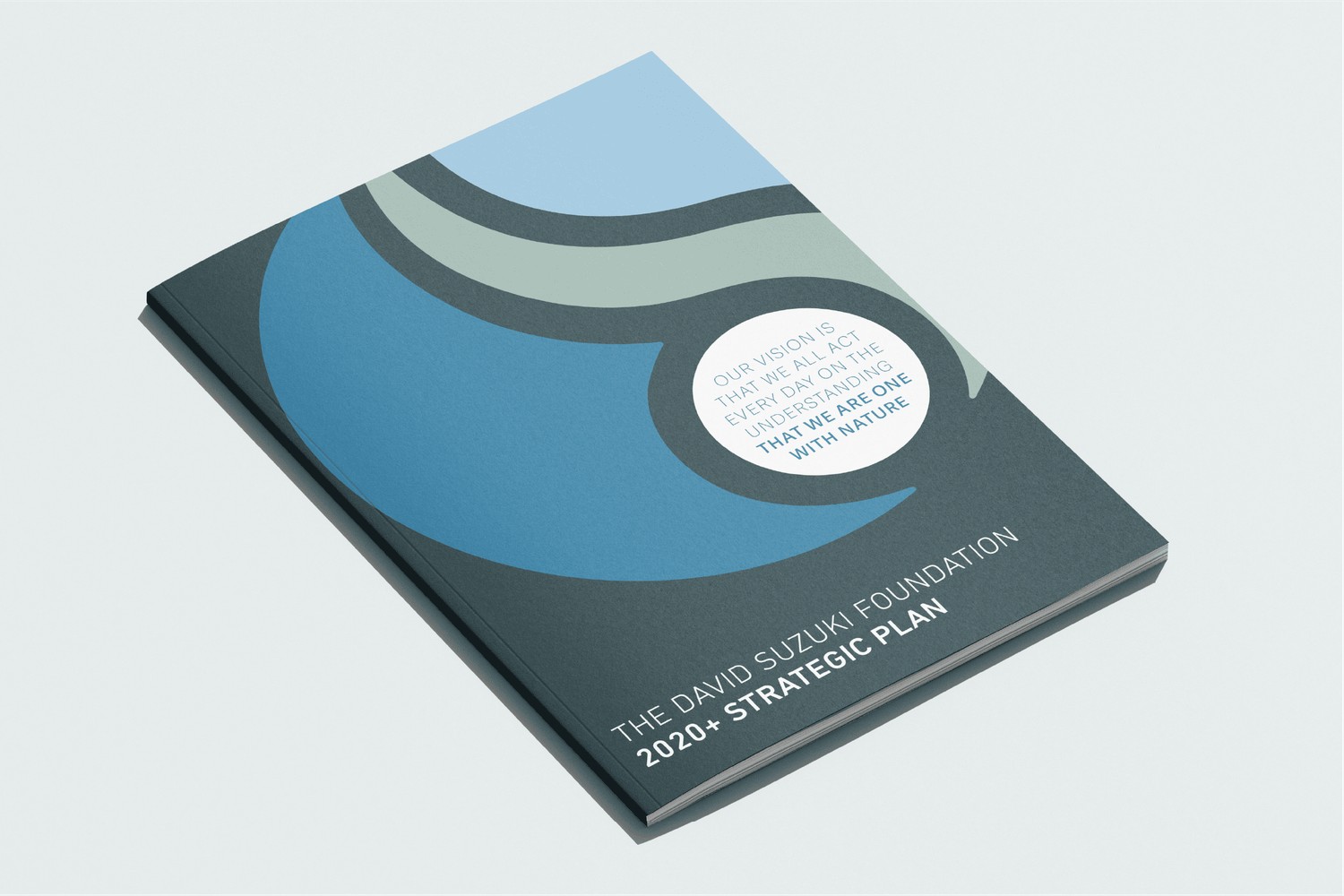 David Suzuki Foundation 2020 strategic plan brochure with blue circular wave design on dark cover.