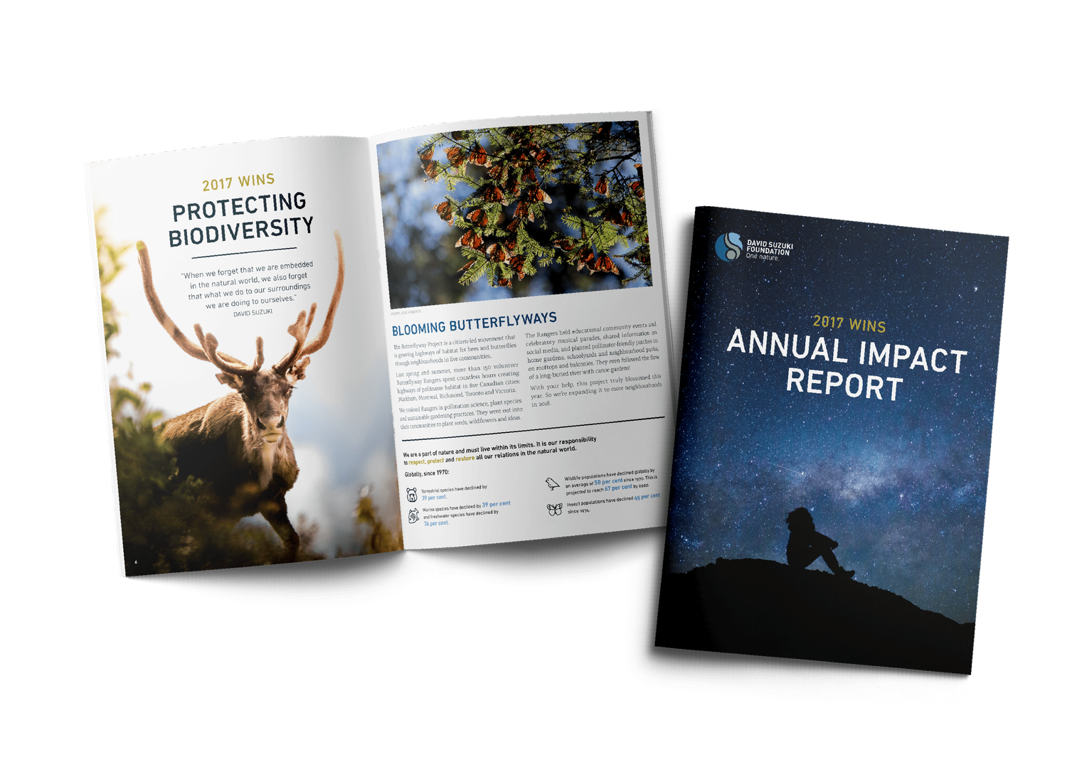 Annual impact report booklet open to biodiversity pages featuring a stag and butterfly migration photography.