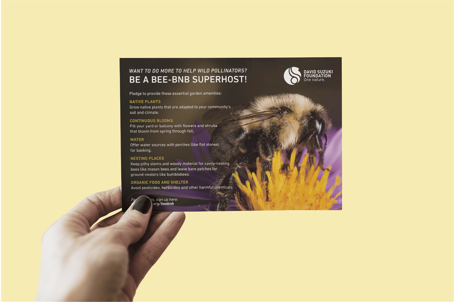 Hand holding a postcard about becoming a bee-friendly superhost to help pollinators for David Suzuki Foundation.
