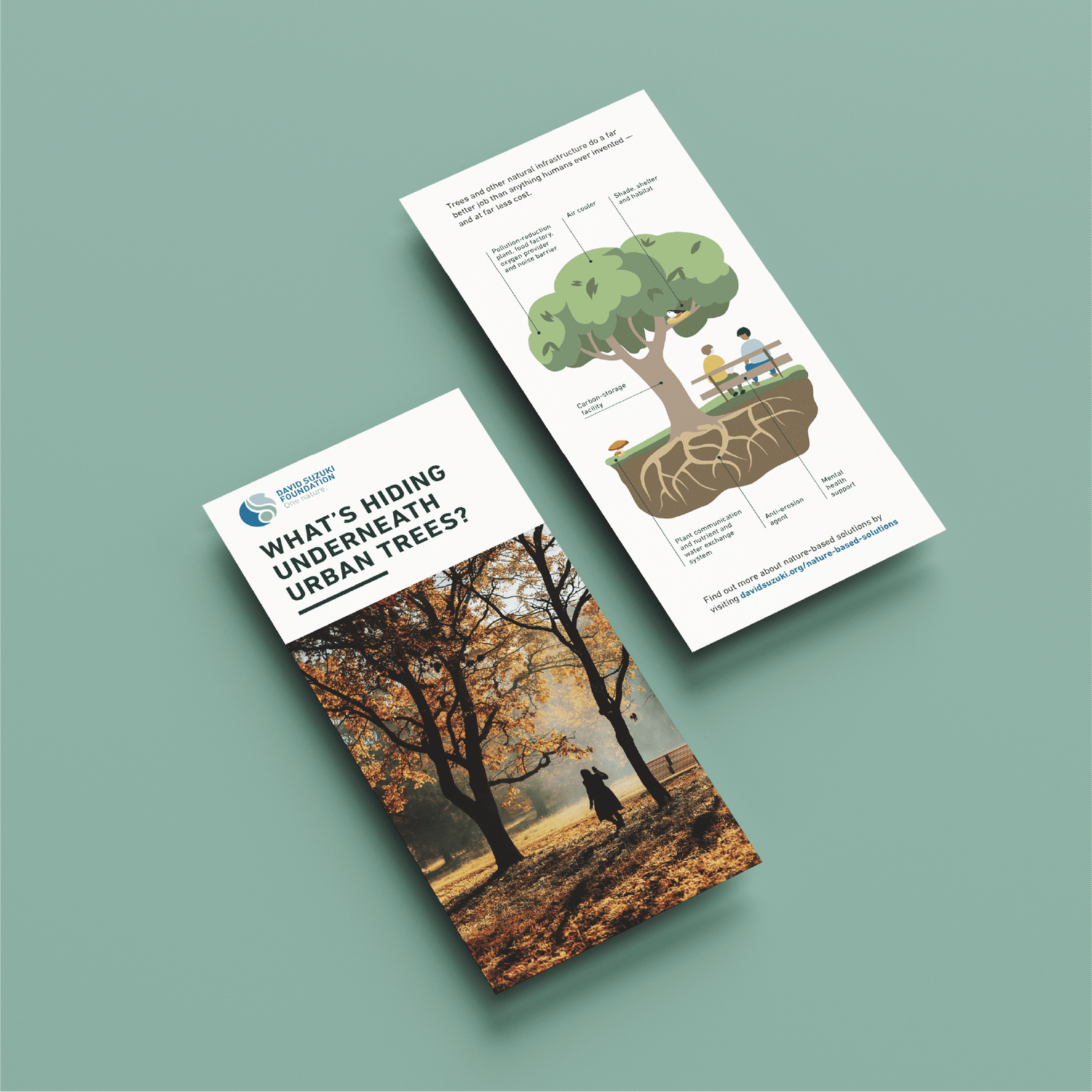 Trifold flyer about urban trees with illustrations showing root systems beneath city streets on a green background.