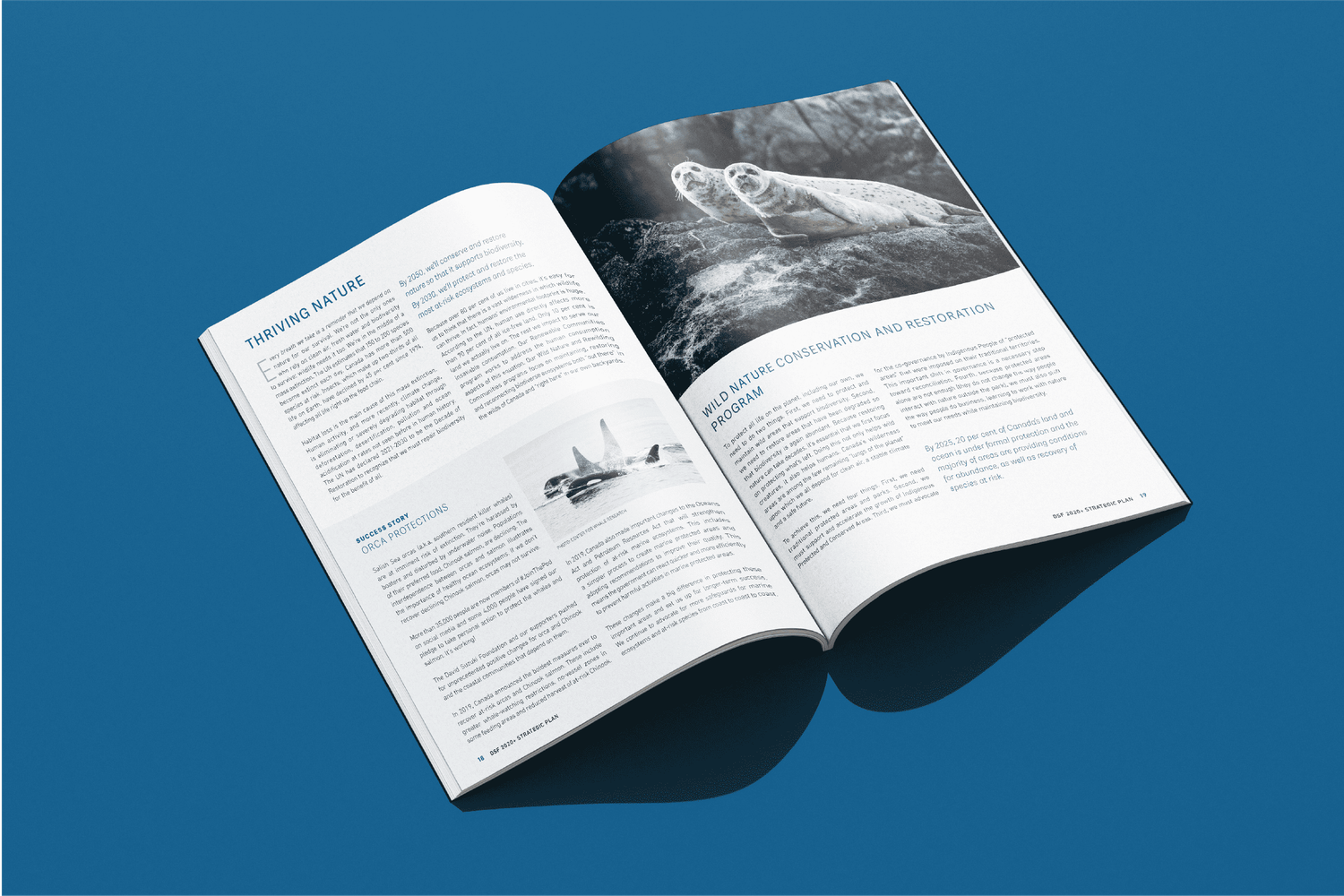 Open David Suzuki Foundation report spread featuring wildlife photography and environmental articles.