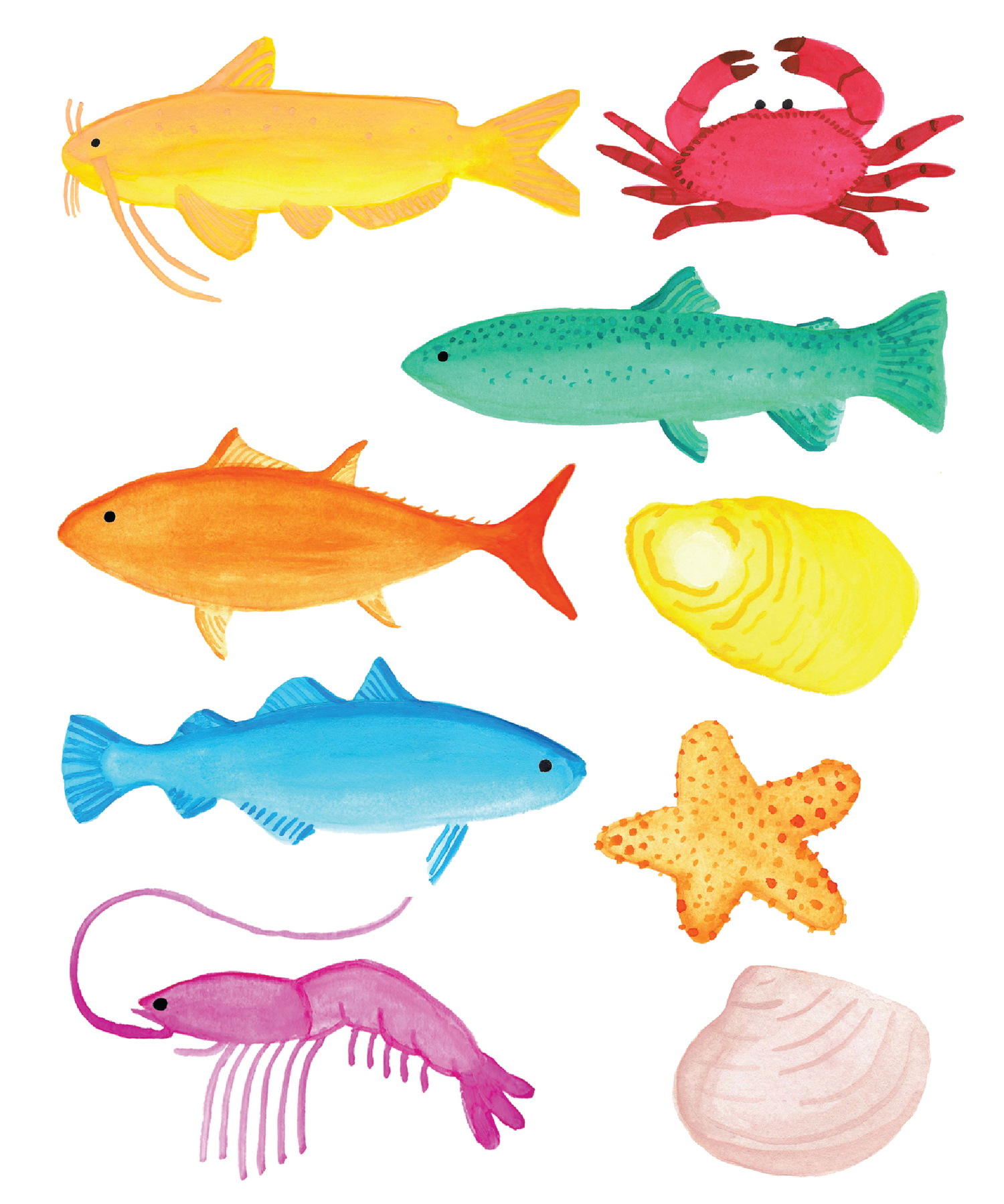 Colorful watercolor illustration of sea creatures including fish, crab, starfish, shrimp, and shells.