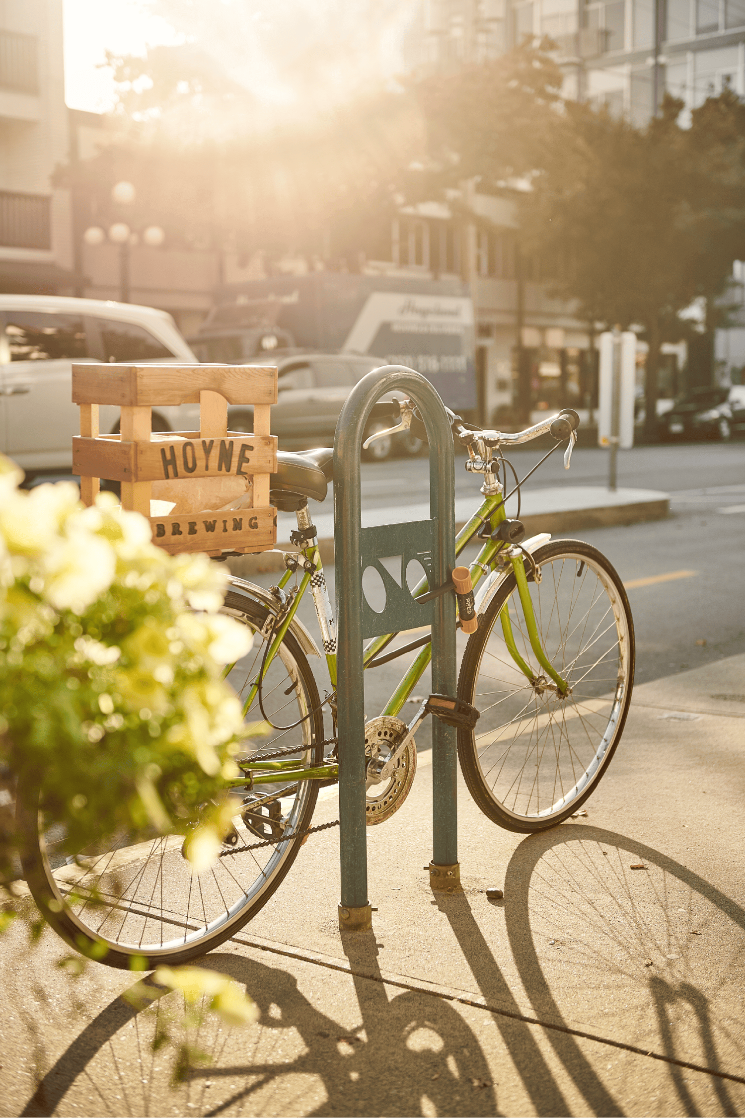 Vintage green bicycle locked to street rack in golden sunlight on urban Victoria BC street.