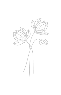 Minimalist line drawing of delicate flower stems with blooming buds and leaves in a simple, elegant style.