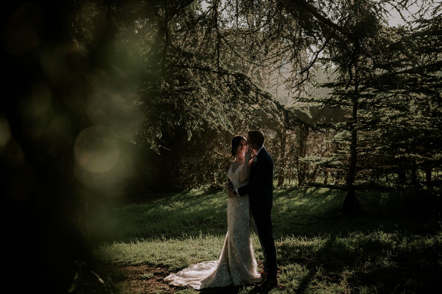 A couple embraces in a romantic wedding moment amidst towering evergreen trees and dramatic lighting effects.