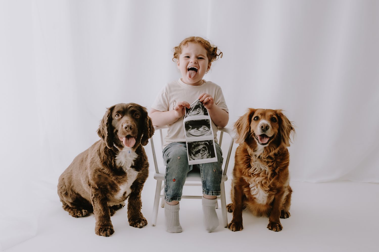 Toddler girl wearing a ‘Big Sister’ top and jeans sits with two cocker spaniels, while holding three ultrasound photos.