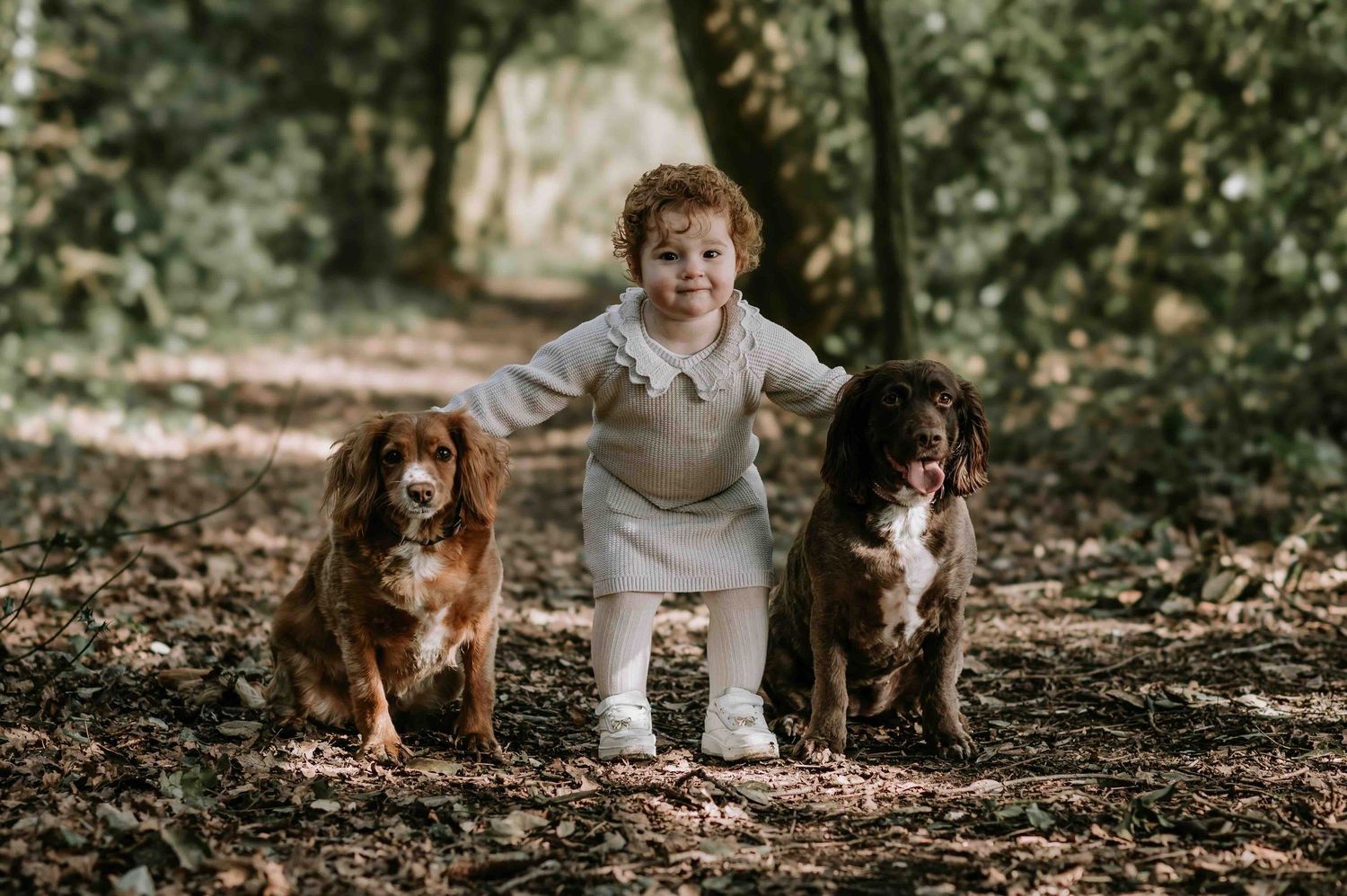 Two brown dogs sit together on a forest trail while a young girl stands in the middle, holding their backs in casual attire.