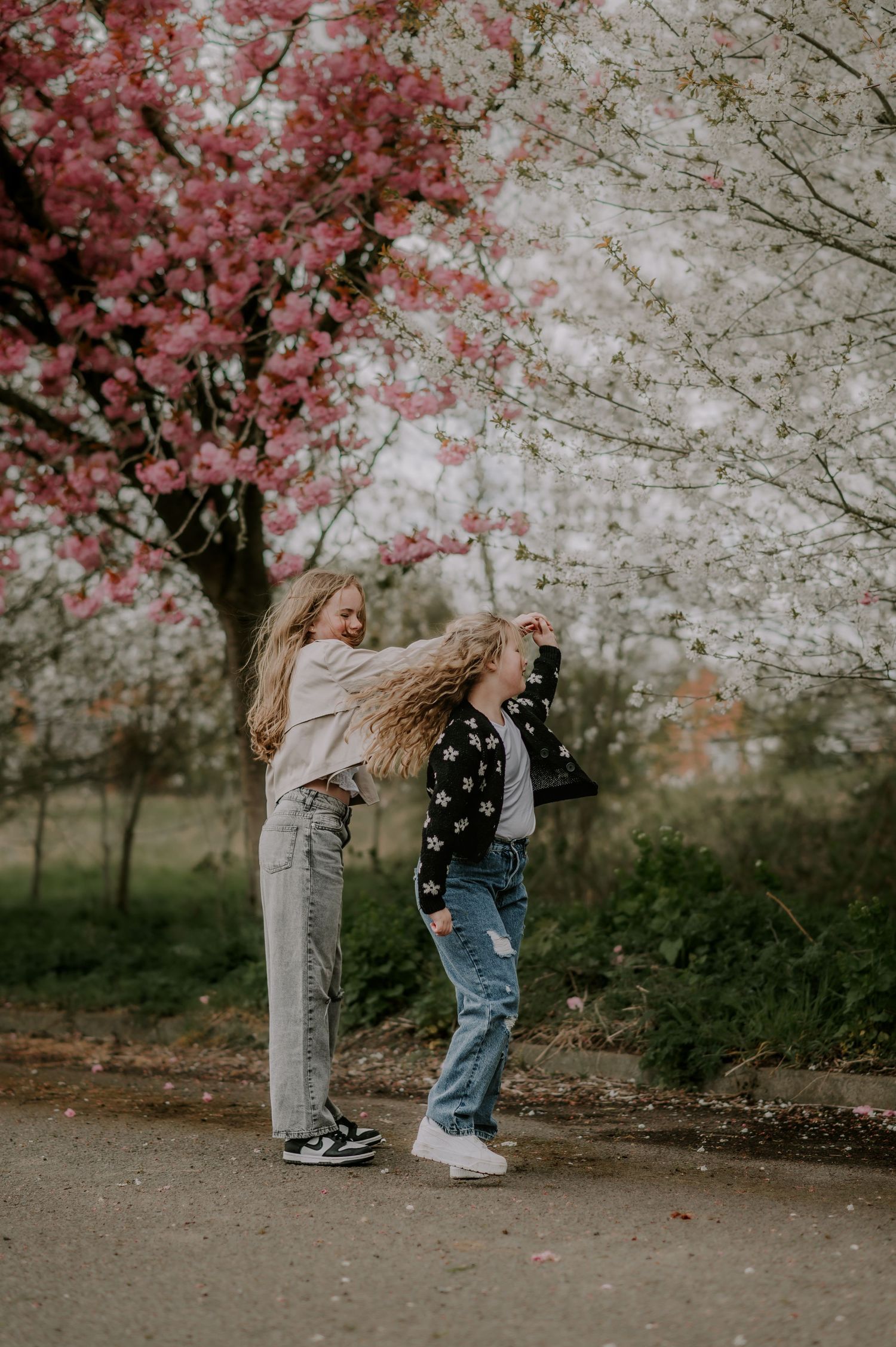 Two young children play and dance together under blooming pink cherry blossom trees in a park setting.