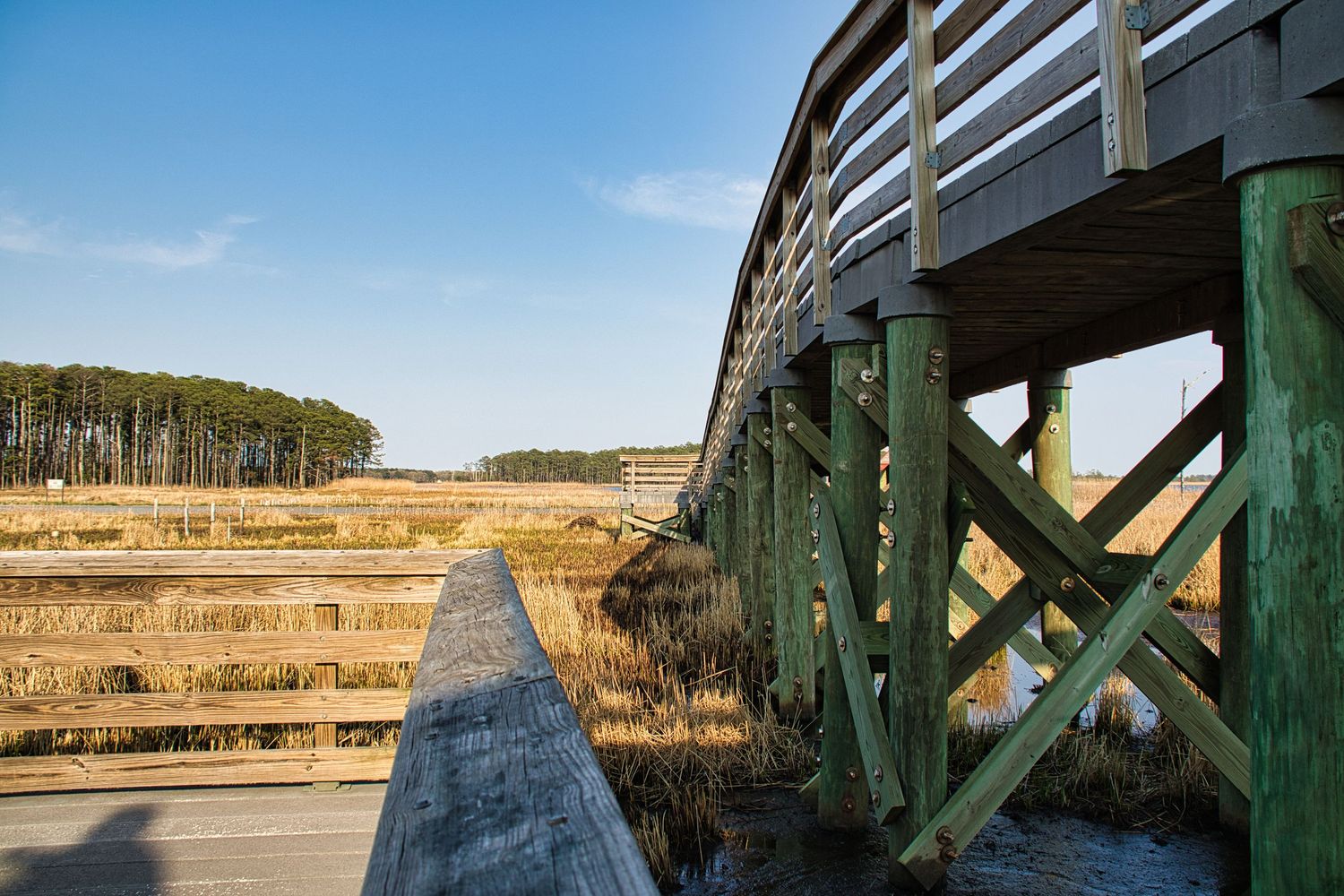 A wooden elevated boardwalk bridge stretches over golden marsh grasses under a clear blue sky.