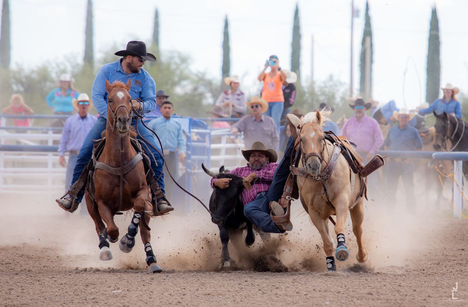Rodeo competitor wrestling a steer to the ground during a steer wrestling competition.