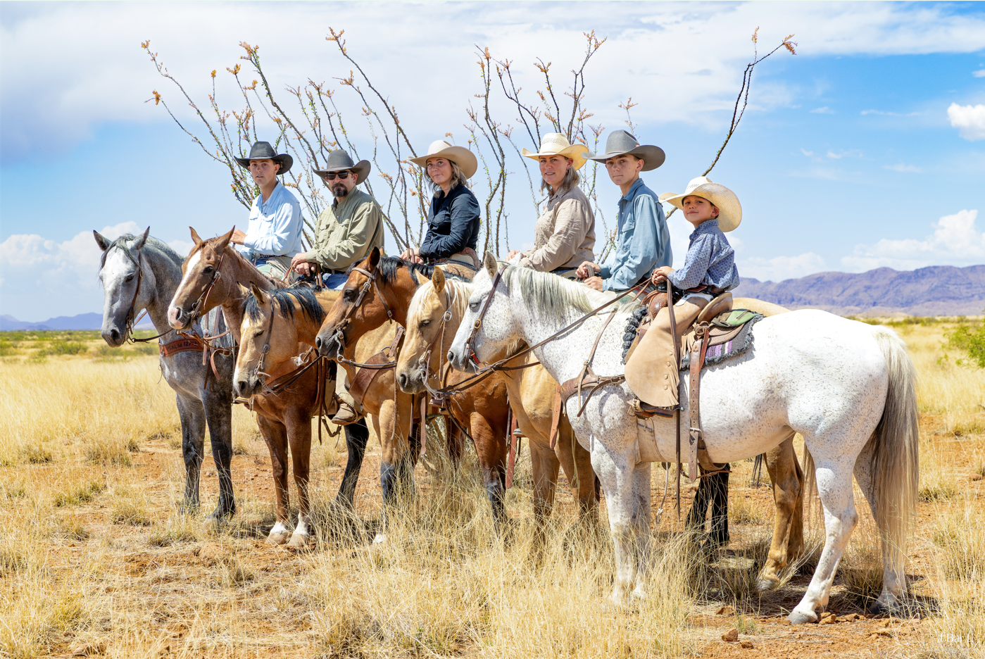 Six cowboys on horseback lined up in a row across golden grasslands with mountains in the background.
