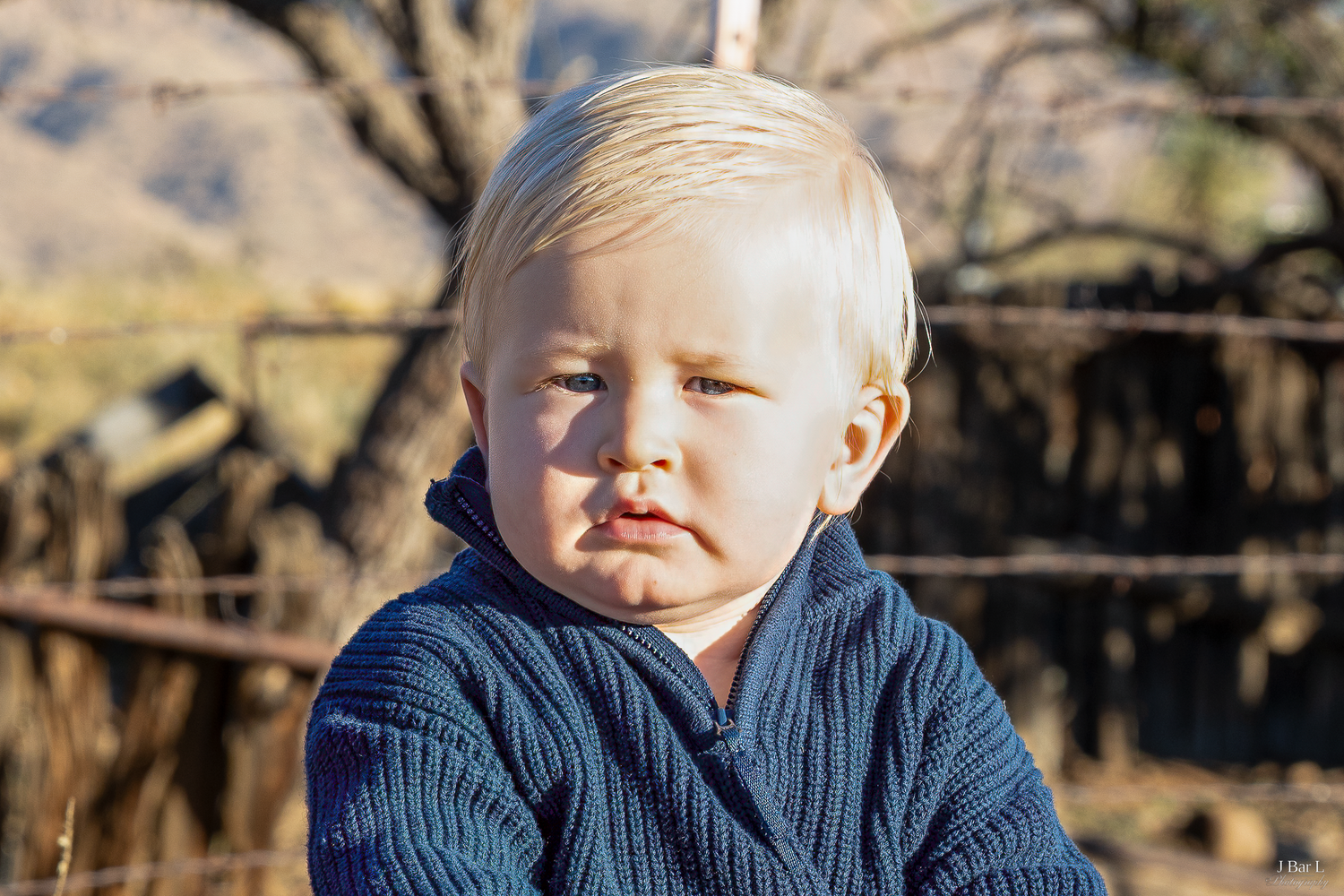 Adorable blonde toddler boy in a blue knit sweater with a pouty expression outdoors.