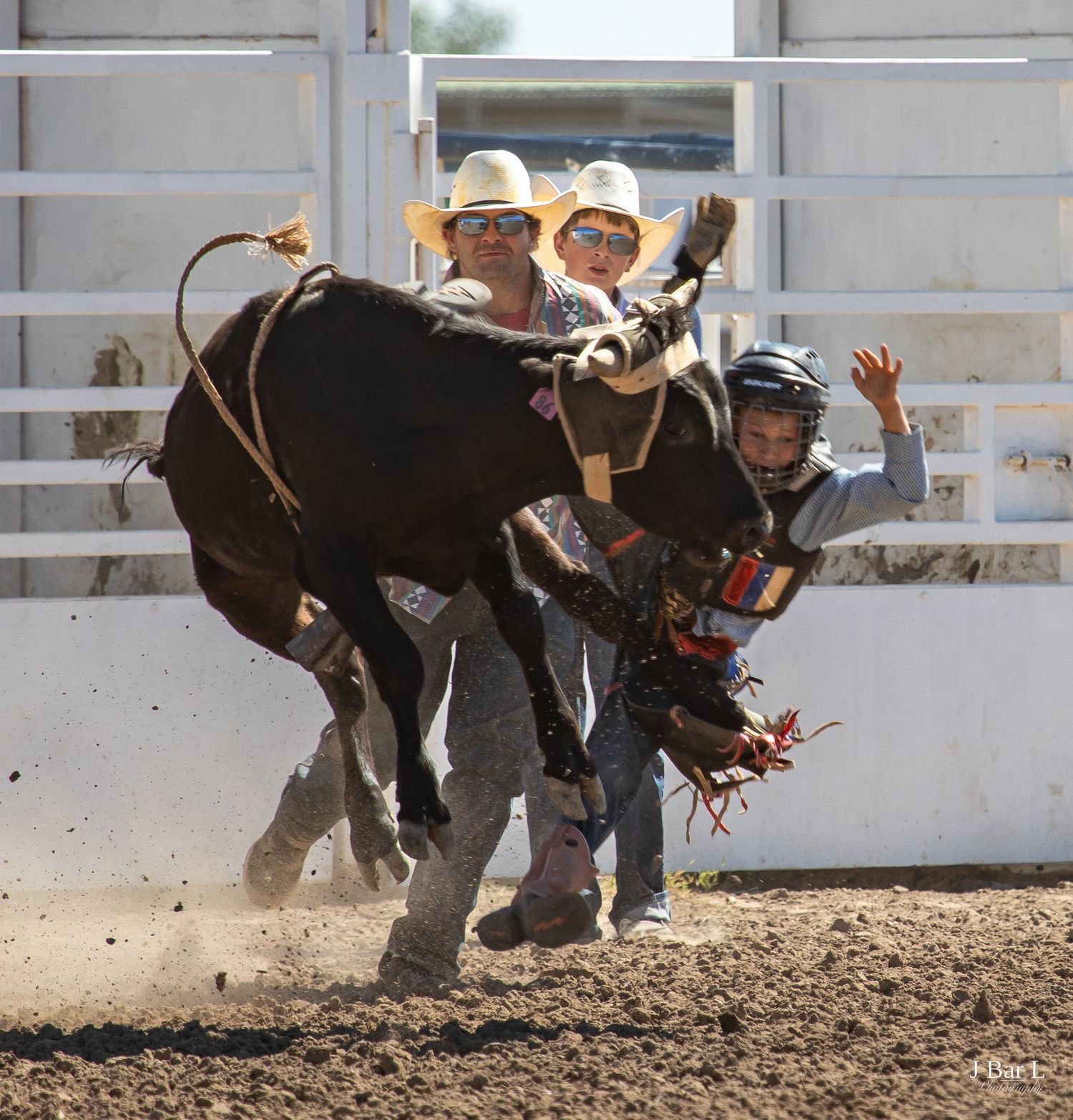 Young junior bull rider being tossed by a black bull during a youth rodeo competition.