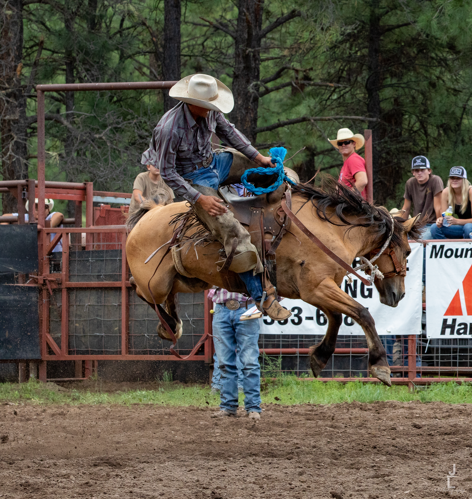 Cowboy in white hat rides bucking horse at outdoor rodeo surrounded by pine trees.