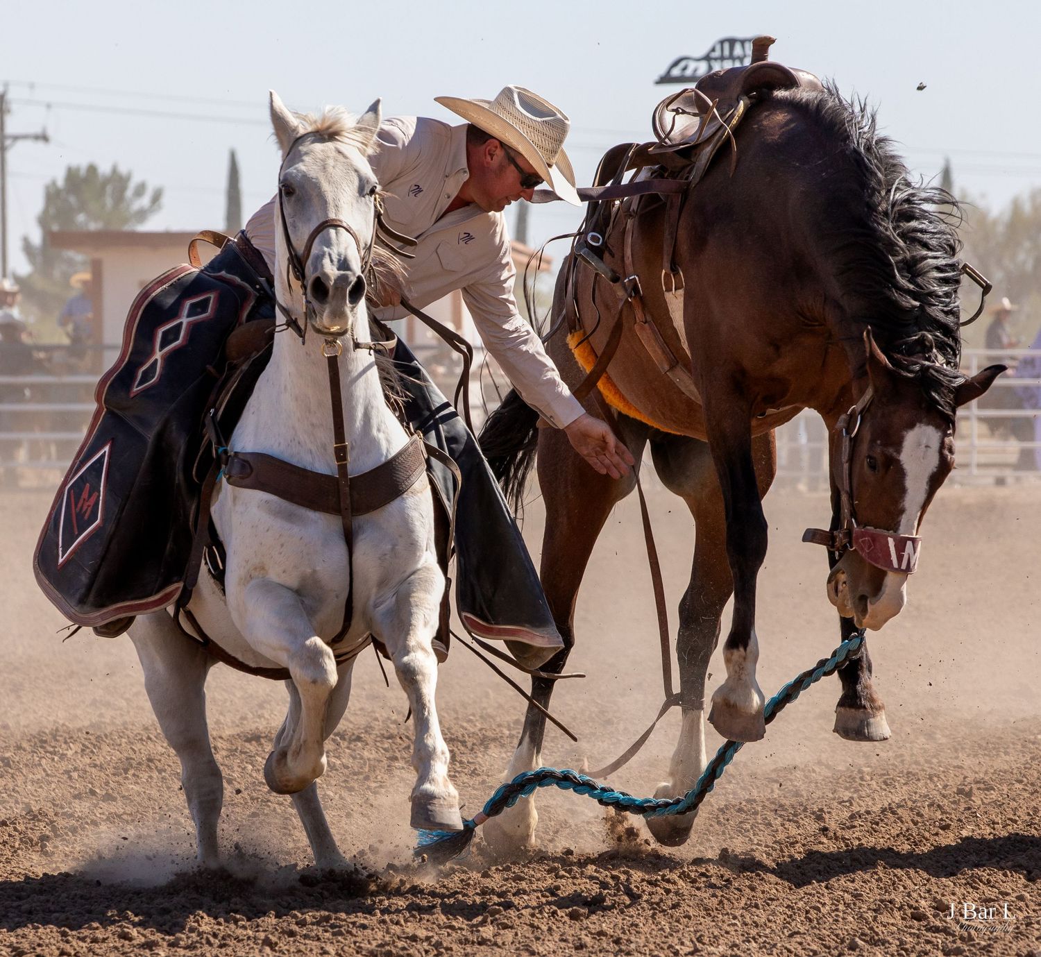 Cowboy on a white horse controlling a bucking brown horse with a rope at a rodeo.