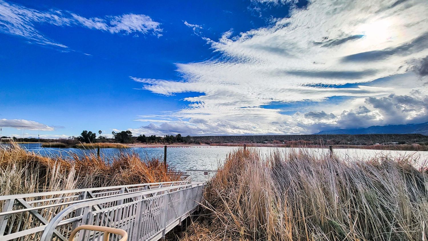 Wooden boardwalk through golden marsh reeds under dramatic blue sky with wispy clouds.