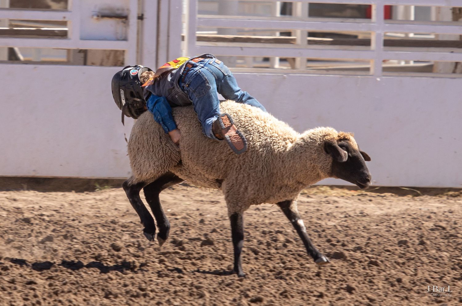 A young child rides a sheep in a mutton busting rodeo event on a dirt arena.