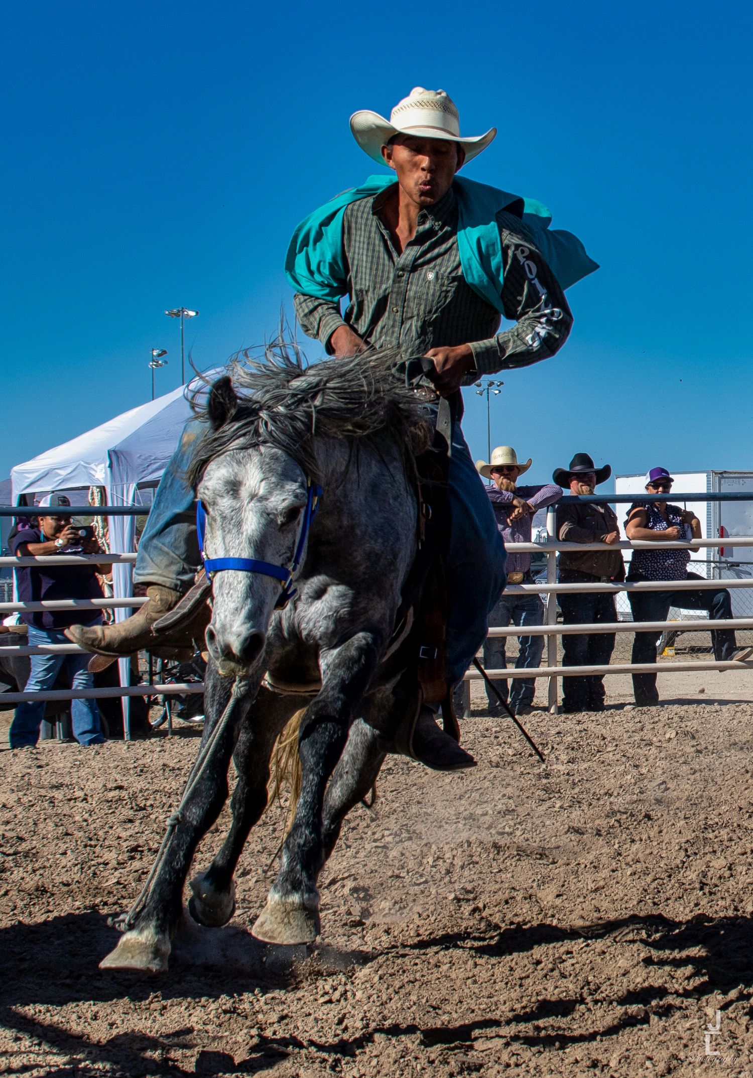 Cowboy in teal shirt rides a bucking grey horse during a bareback bronc riding rodeo event.