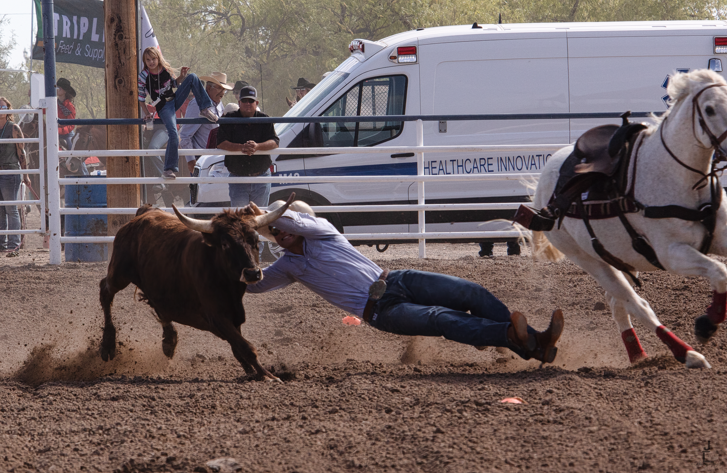 A rodeo cowboy performs steer wrestling, diving from a horse to tackle a bull in the dirt.