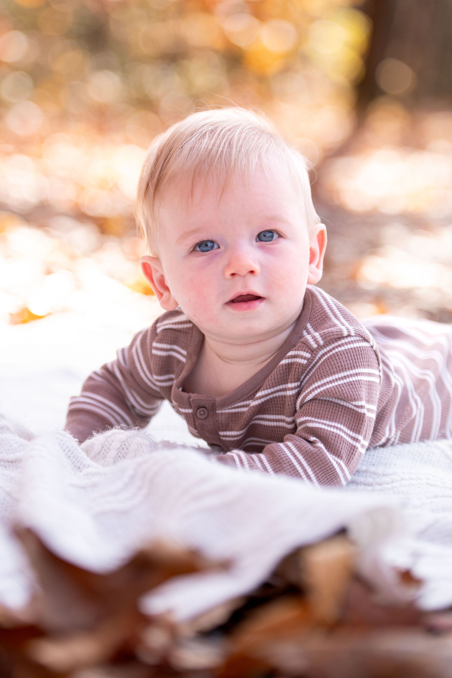 Baby Portrait. Fall Family Photo. Richmond VA.