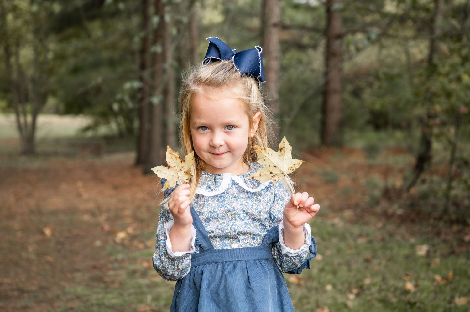 Girl Portrait. Fall Family Photo. Richmond VA.