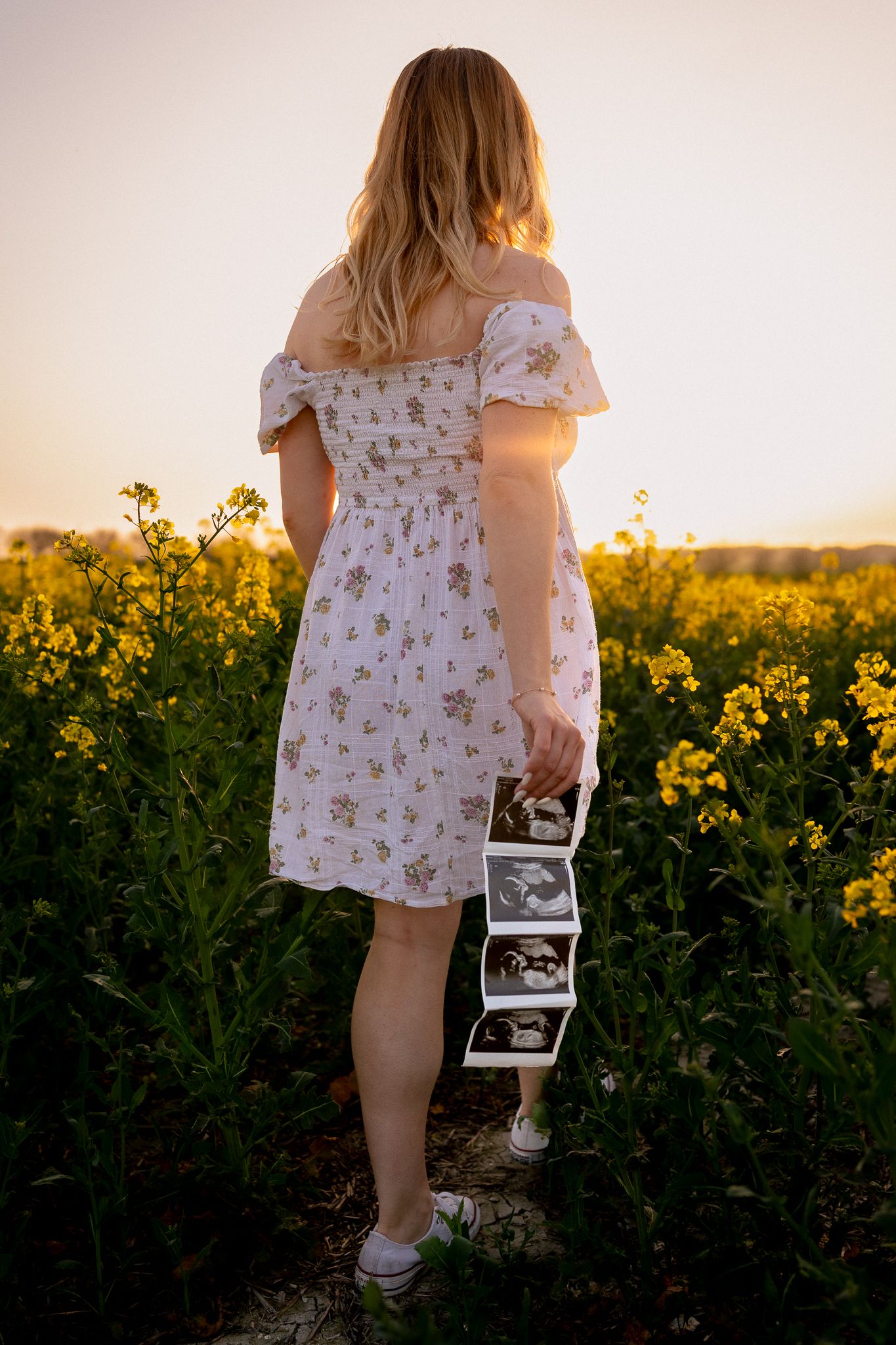 Blonde pregnant woman in white floral dress holding ultrasound scans in a golden yellow flower field in Burford, Oxford.