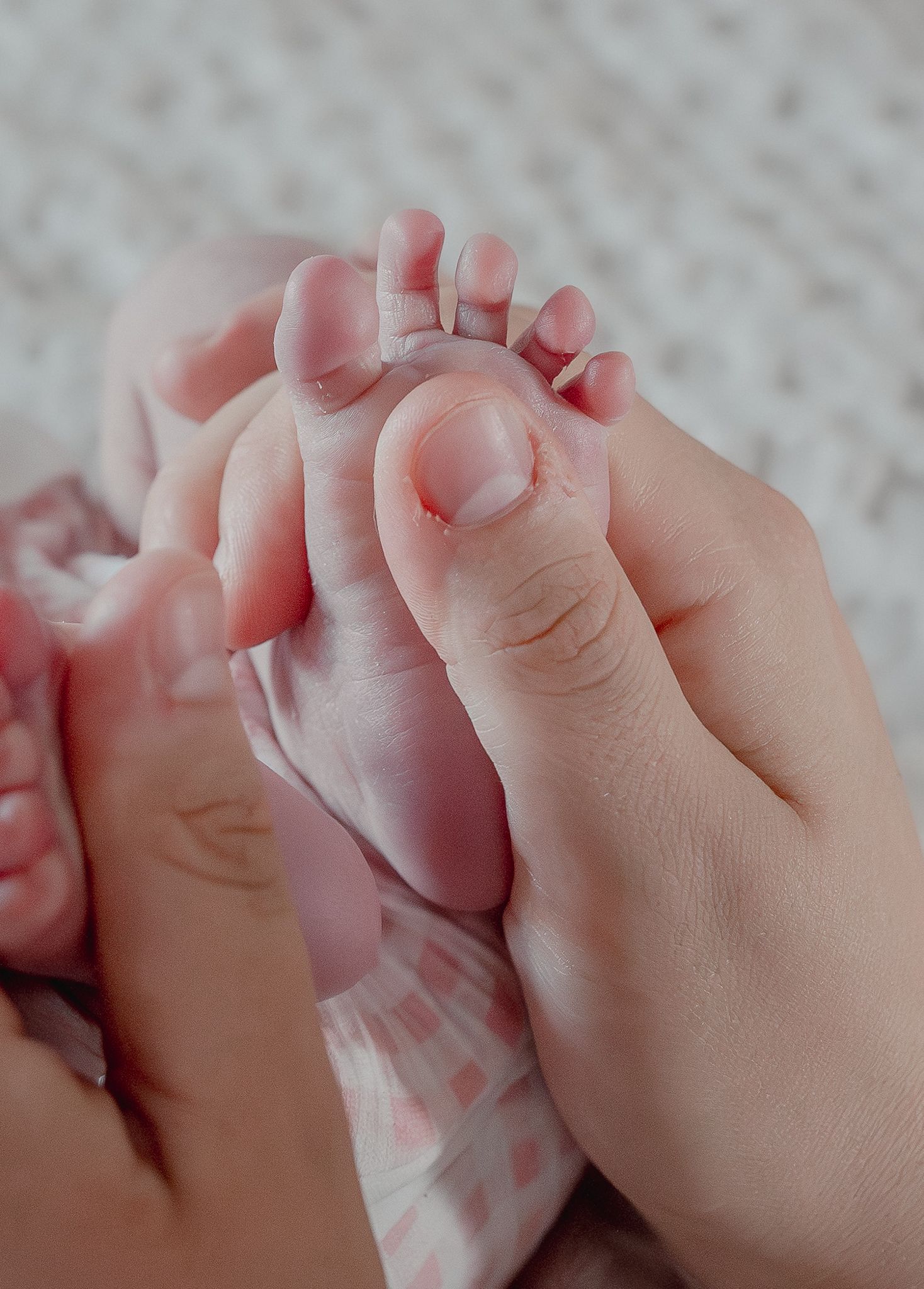 An adult hand gently holds a newborn baby's tiny feet for a Newborn Photoshoot in Priston.