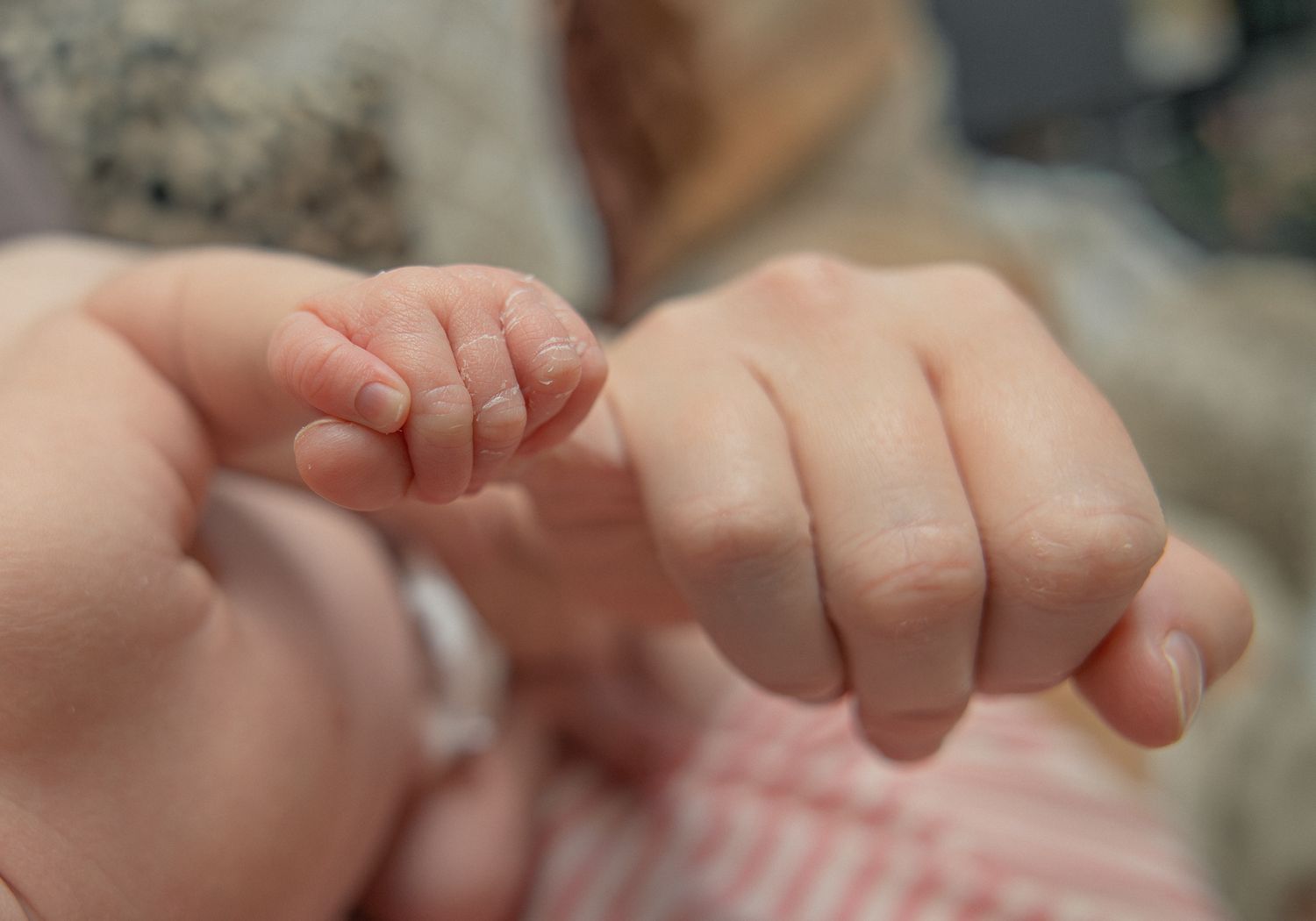 Close-up of tiny baby fingers grasping an adult's finger in a tender moment in Cheshire.