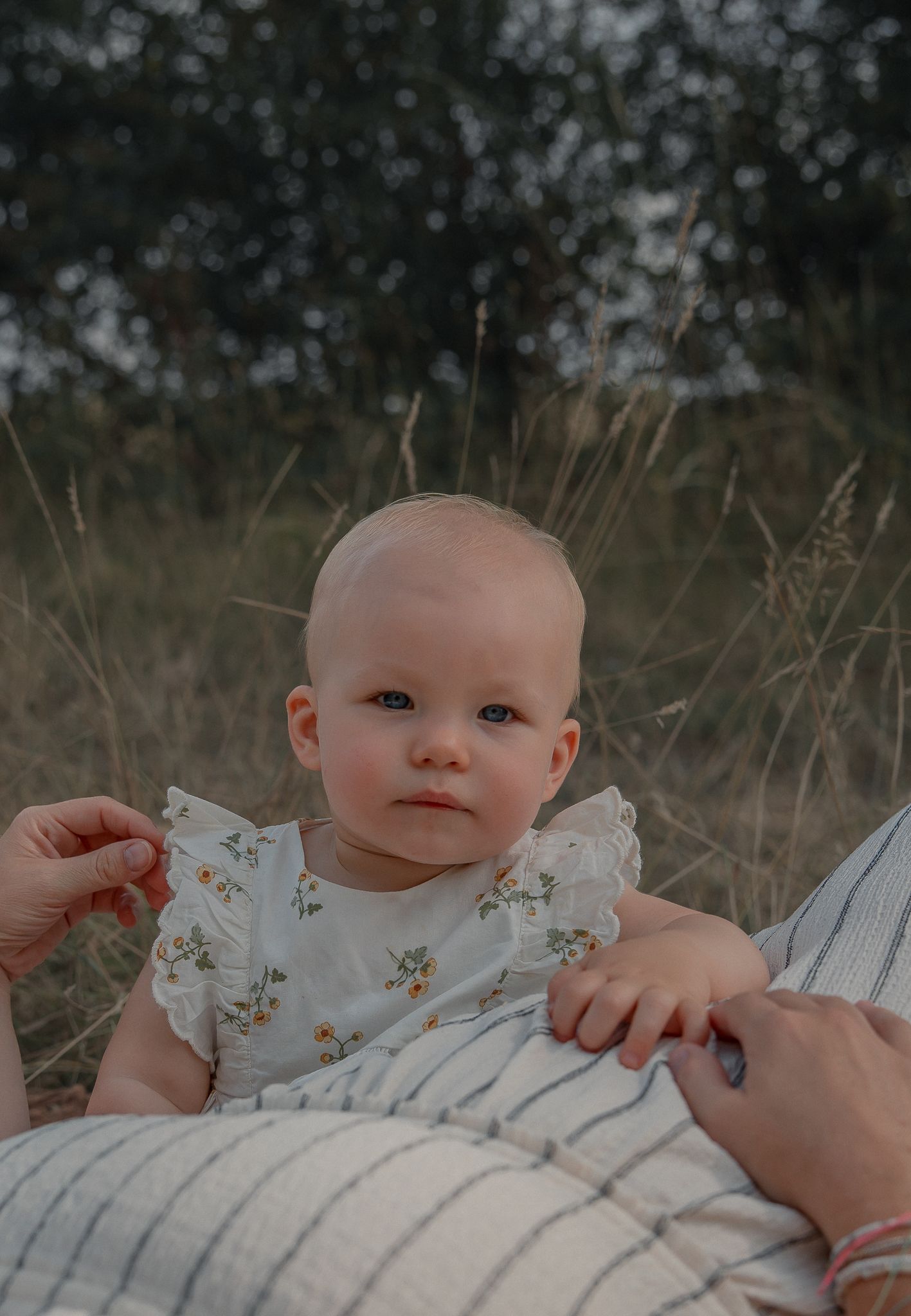 A blue-eyed baby in a floral ruffle dress sits outdoors in a golden grass field, held by an adult.