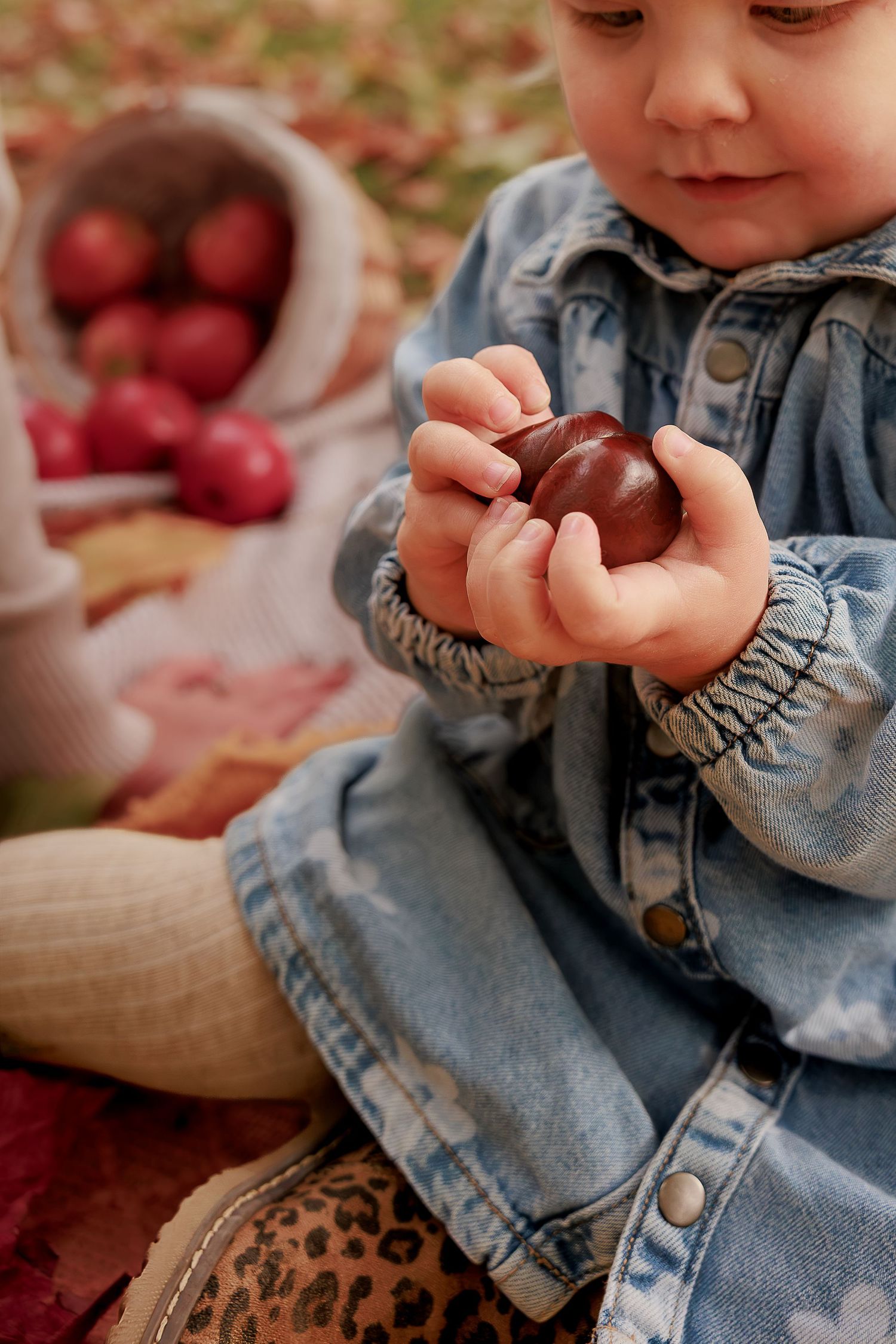 Toddler in denim jacket holding a chestnut outdoors, with a basket of red apples in the background.
