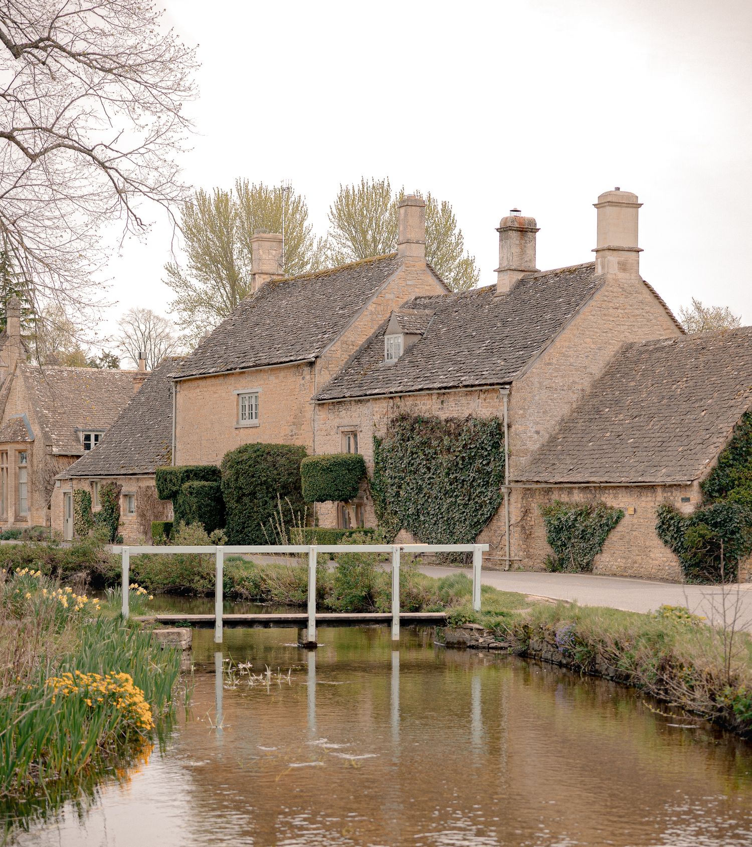 Charming Cotswold stone cottages beside a tranquil river with a white footbridge and daffodils in an English village in Lower Slaughter.
