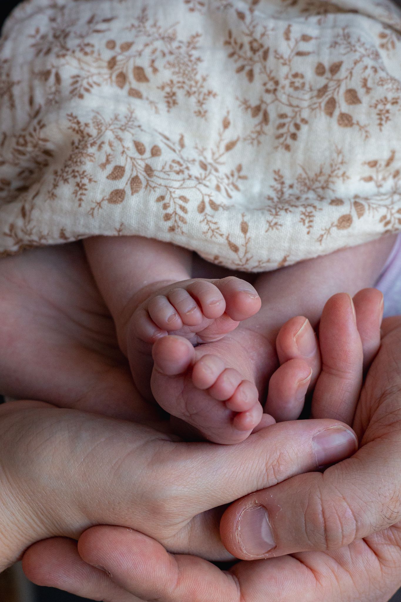 Mum and dads hands cradling tiny newborn baby feet and toes against floral patterned fabric in a tender moment. Painswick, Cotswolds.