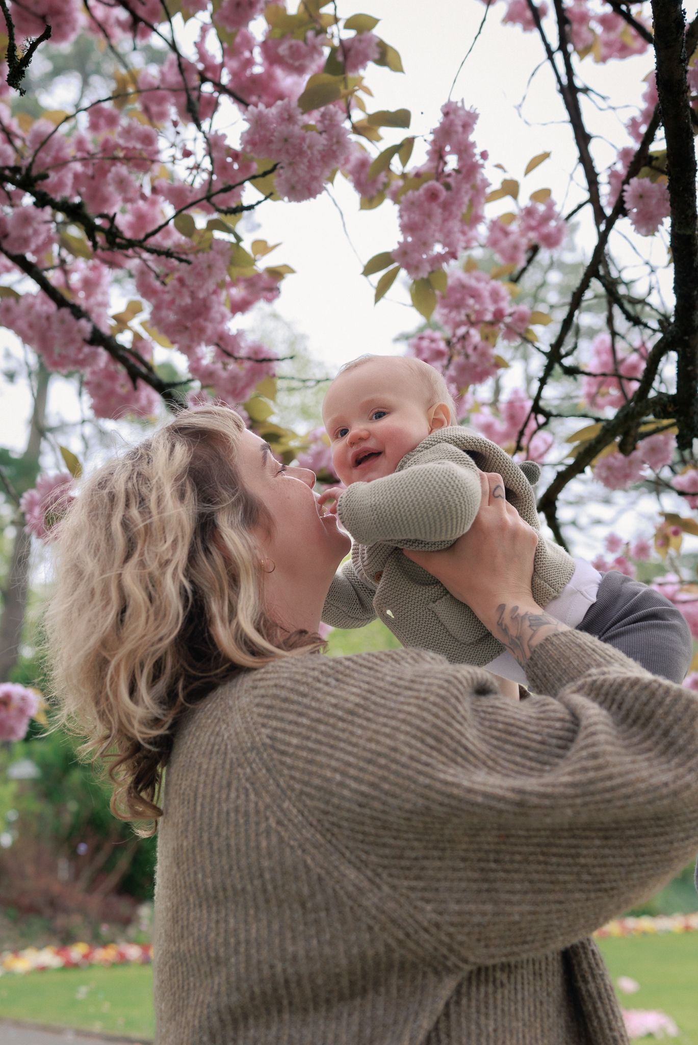 A joyful mother lifts her smiling baby under pink cherry blossom trees in a spring garden in Centre Parcs, Longleat.