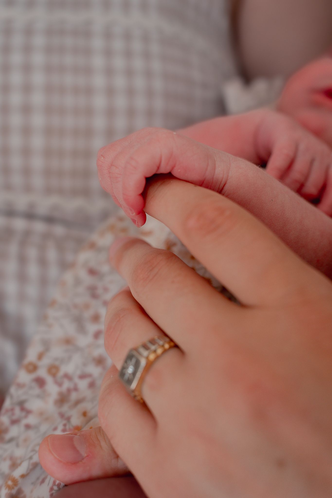 A newborn baby's tiny hand grasping an adult's finger, for a Newborn Photoshoot in Frome.