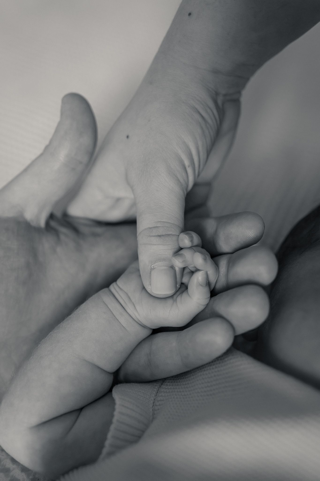 Black and white photo of a newborn baby's tiny hand gripping an adult's finger, symbolizing new life and parental love in Marlborough.