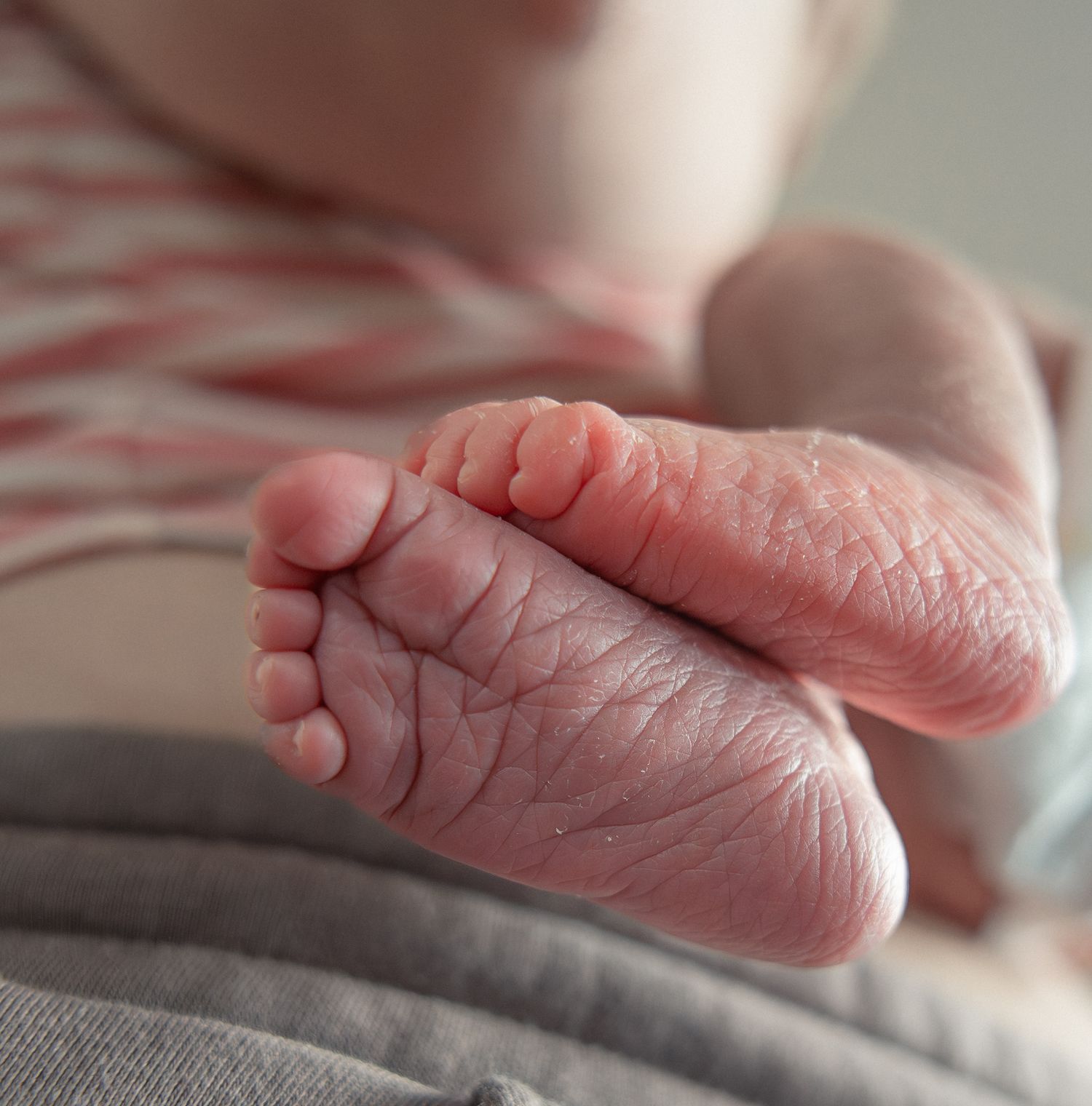 Close-up of tiny newborn baby toes. Blockley, Cotswolds.