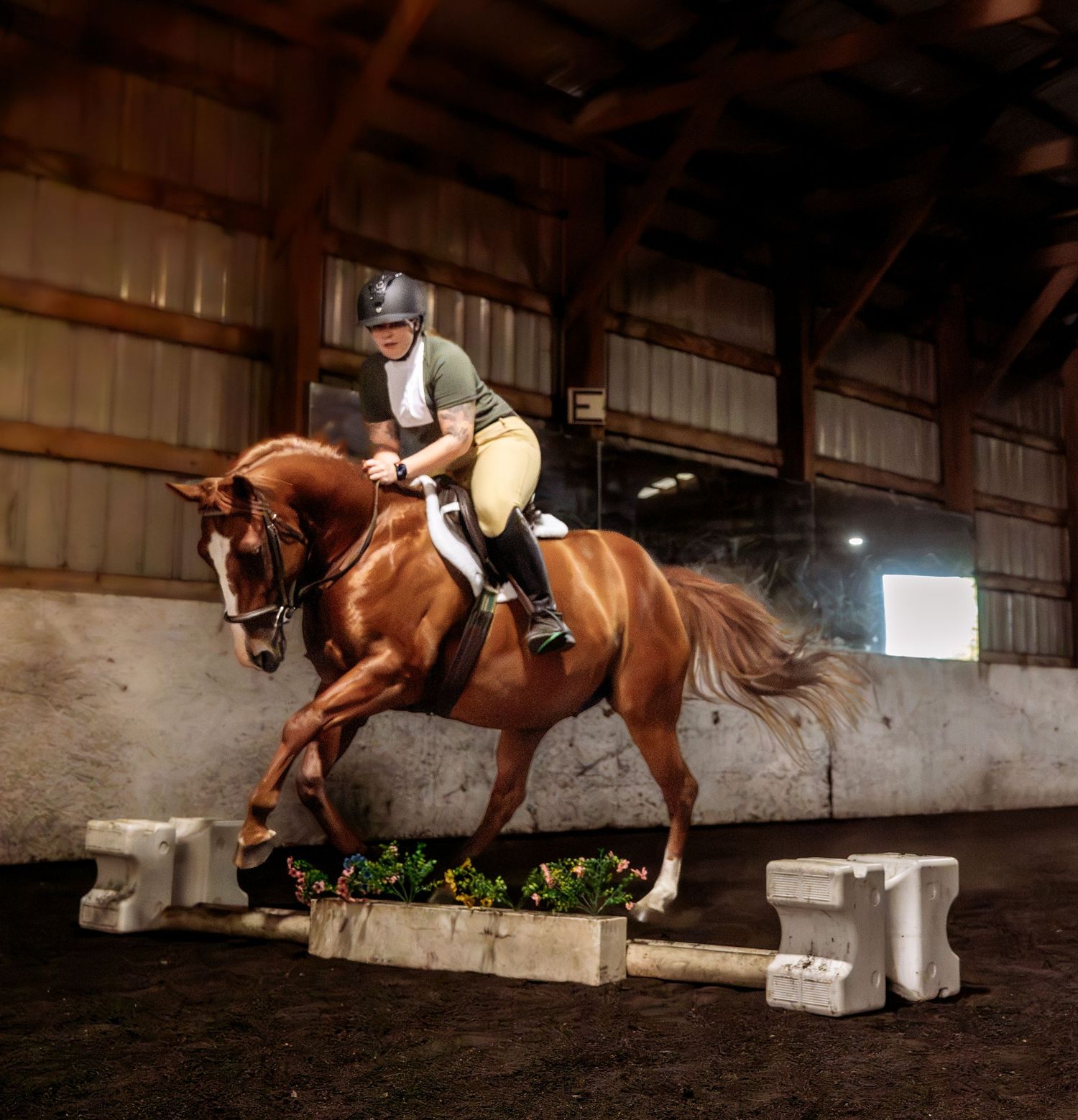 lifestyle portrait of a Equestrian rider on chestnut horse jumping over obstacle in indoor arena