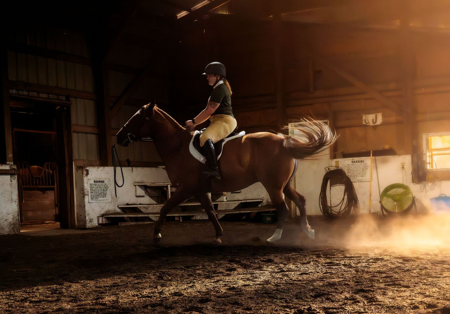 lifestyle portrait of a Rider in helmet atop chestnut horse cantering in dusty indoor arena with warm golden light.