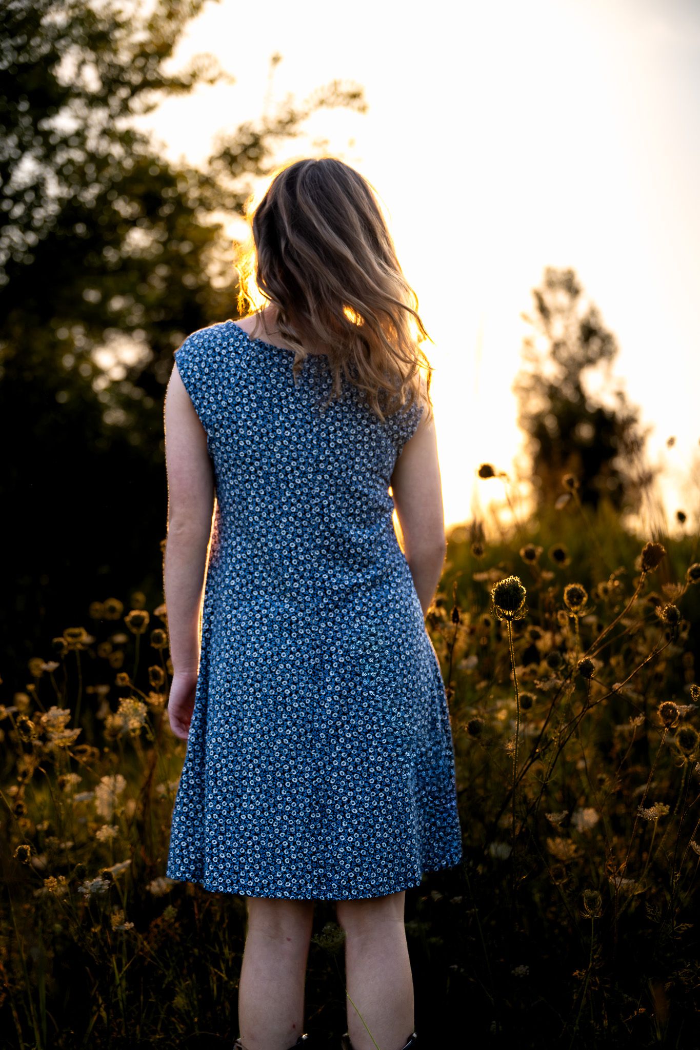 Woman in blue floral dress standing in golden hour sunlight among wildflowers, viewed from behind.