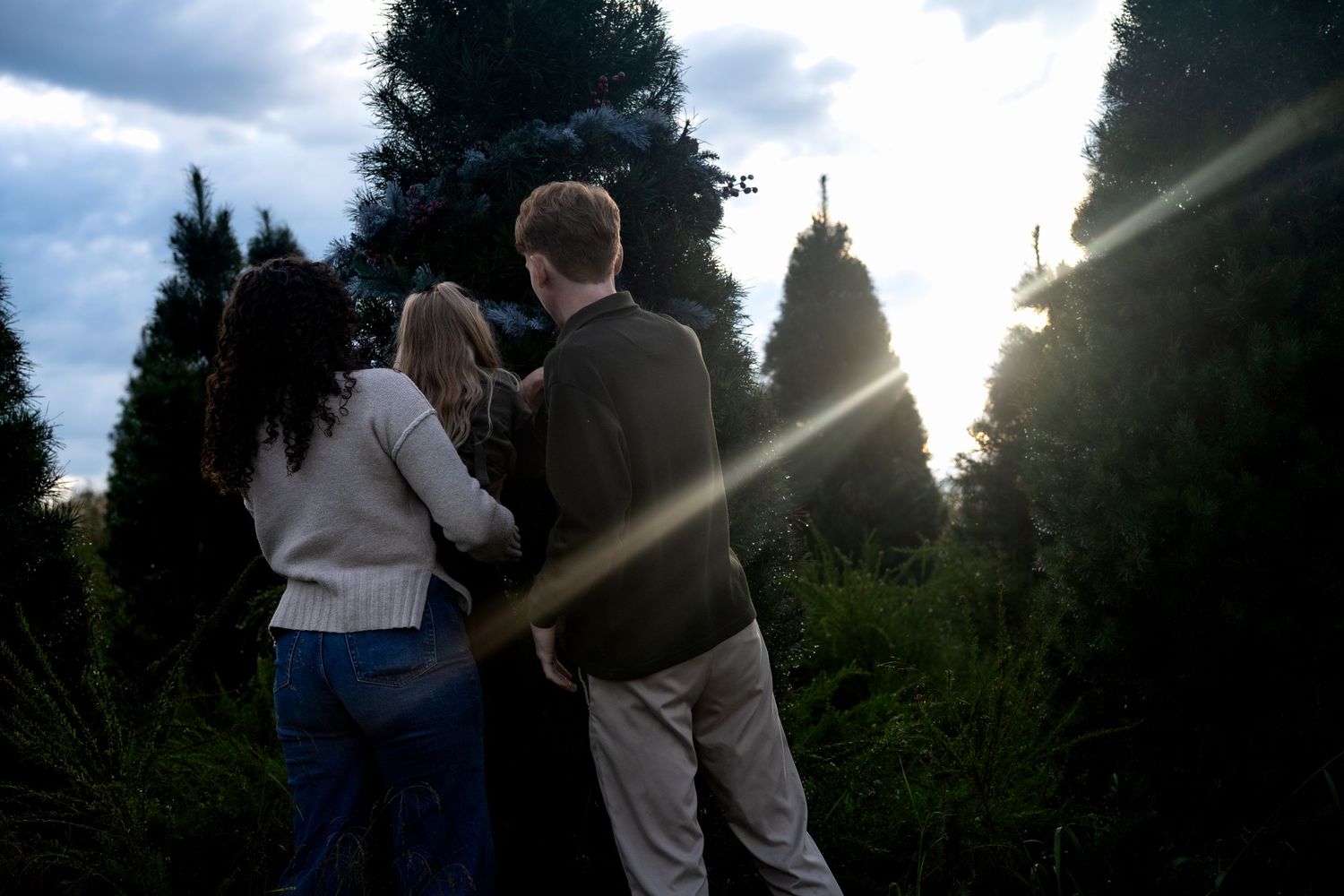 Three people stand among tall evergreen trees at sunset, viewed from behind in a serene outdoor setting.