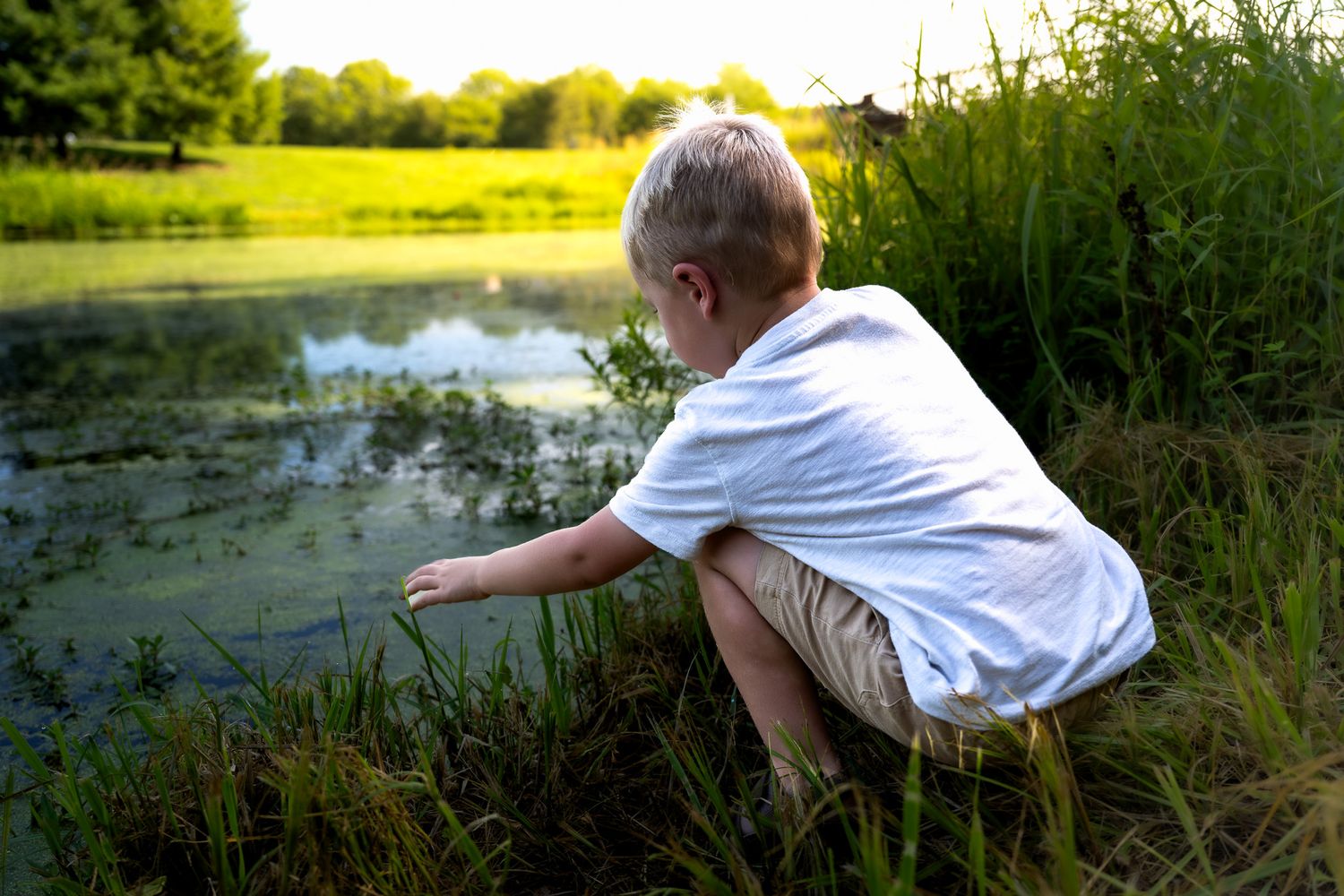 Young blonde boy crouching by a serene pond, reaching toward the water's edge surrounded by lush green grass.
