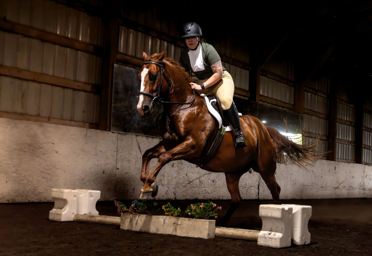 lifestyle portrait of a Equestrian rider in helmet jumping a chestnut horse over a white fence obstacle in an indoor arena.