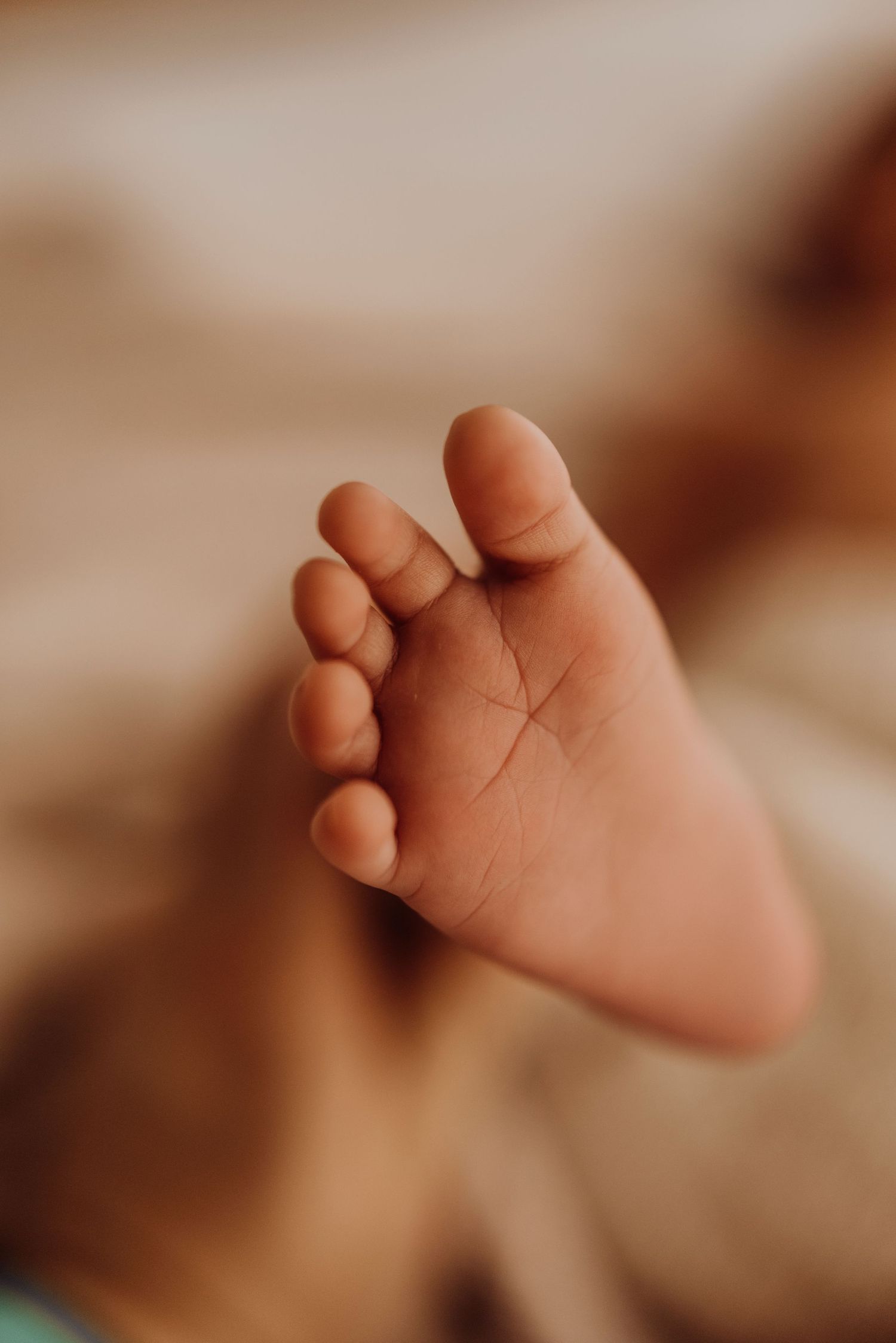Eastern Suburbs newborn photography detail of baby foot in warm natural light