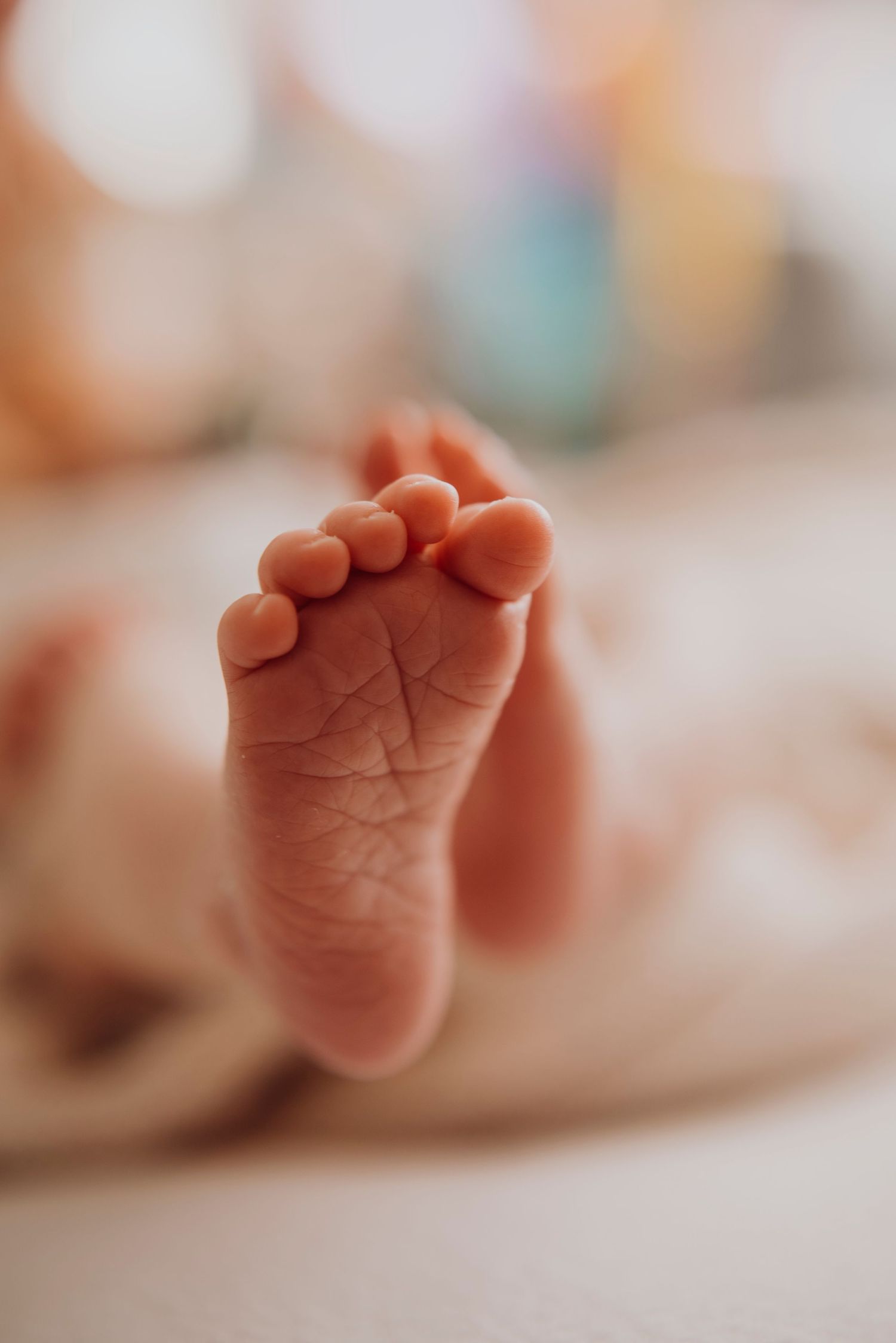 Sydney newborn photography close-up of baby feet in soft natural light. IVF success story, LGBTQ+ Family