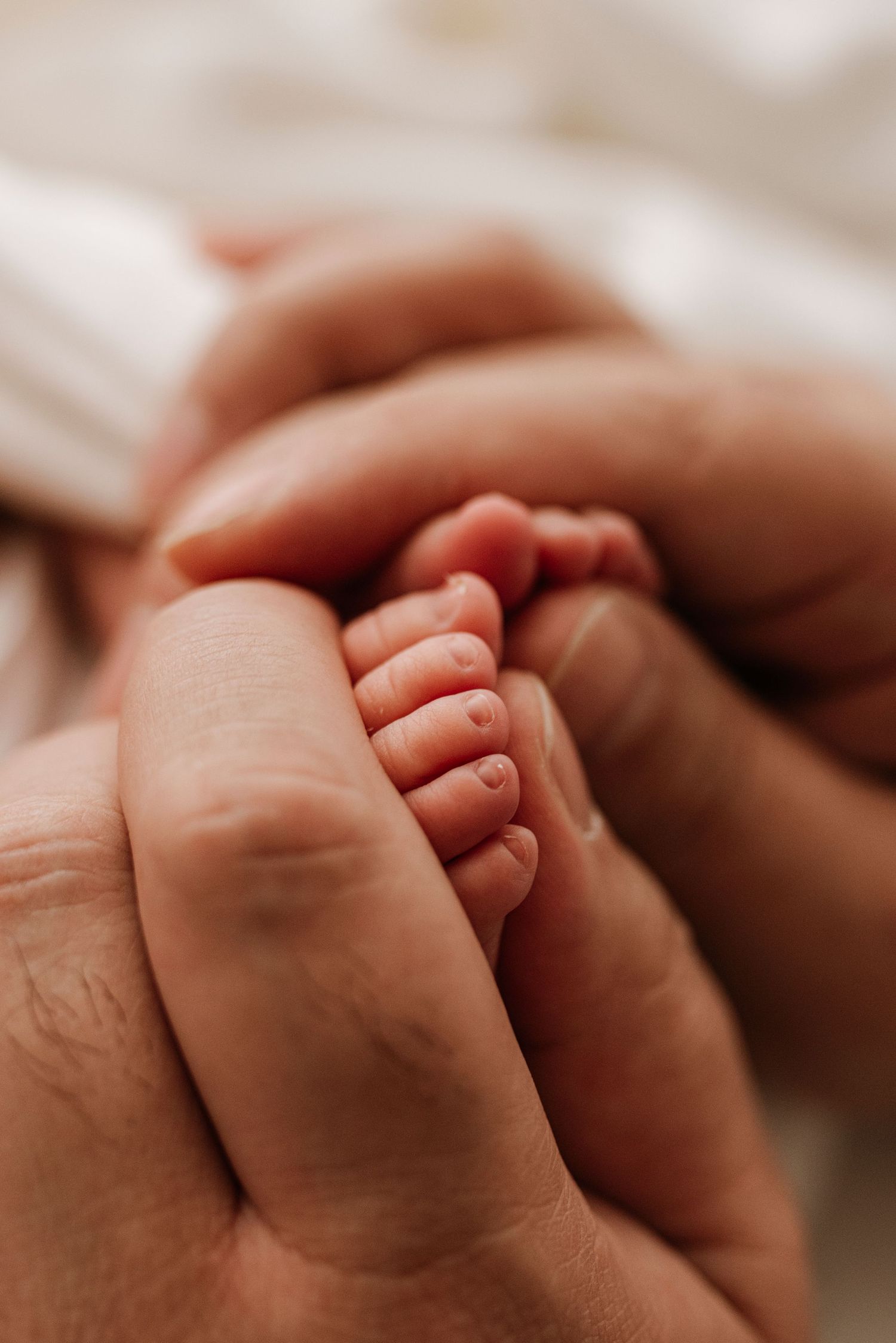 in-home newborn photography Sydney detail of parent holding baby’s tiny feet