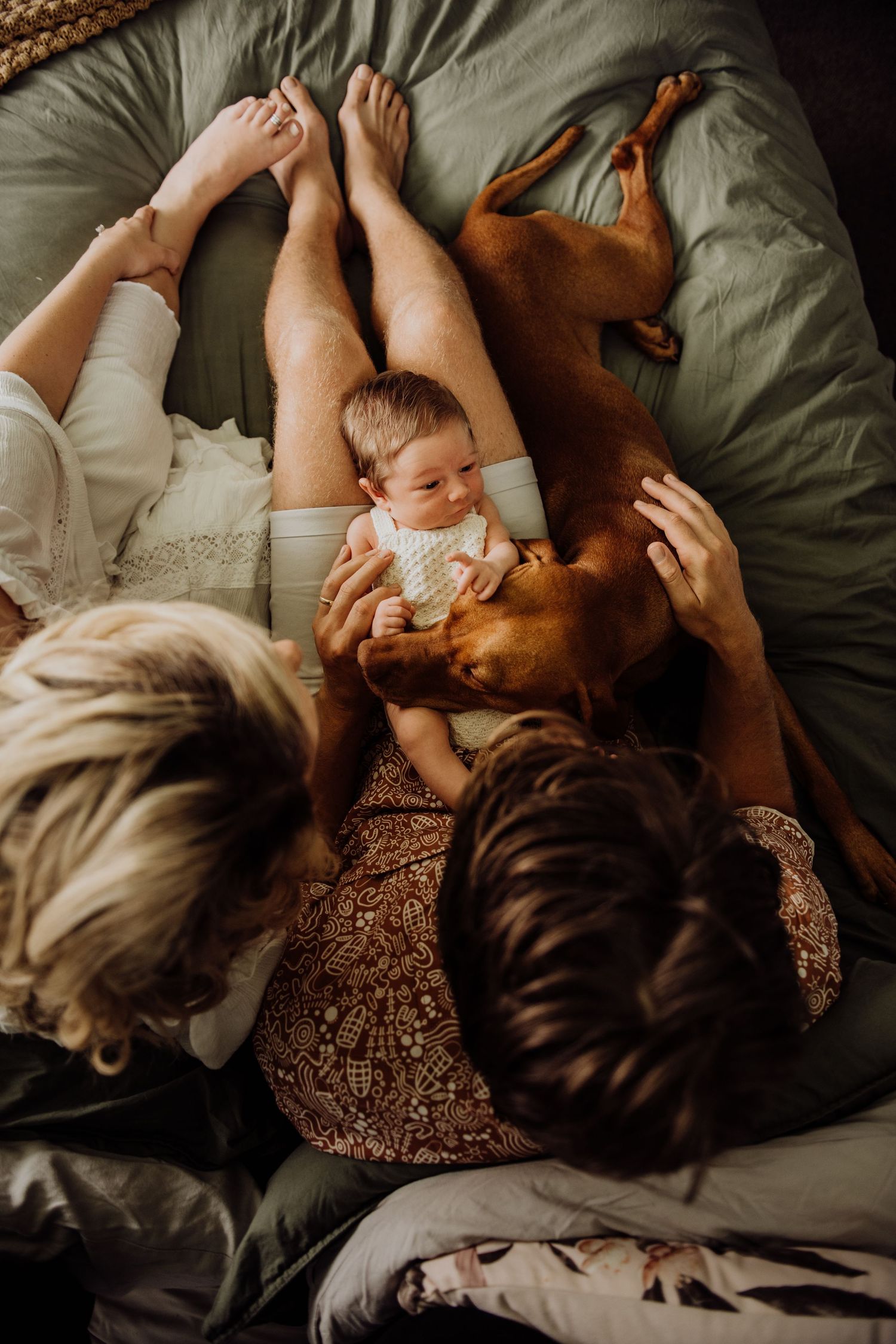 Western Sydney newborn photography of family lying together with baby and pet dog