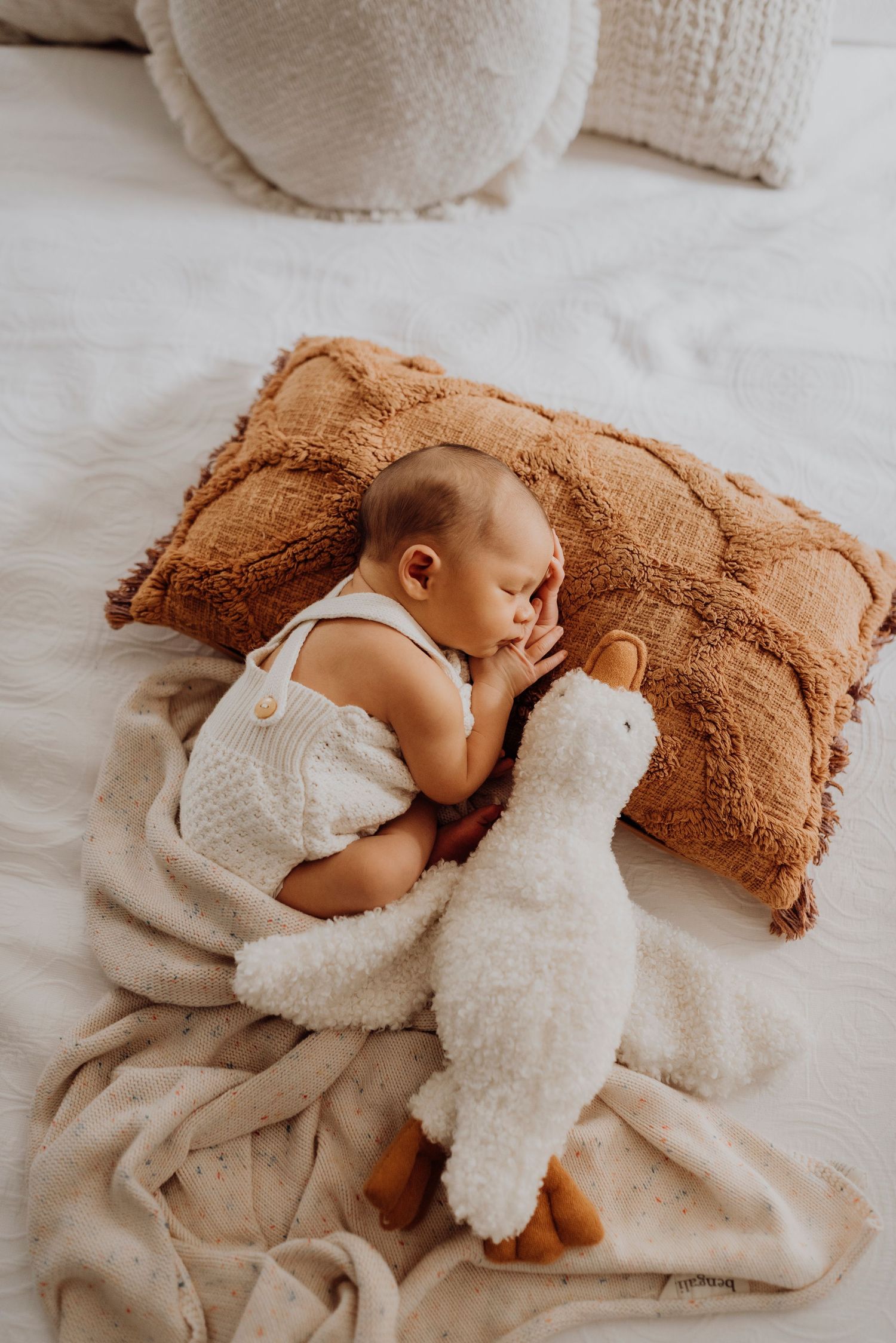 Sydney newborn photography of baby lying on bed with soft toy in neutral tones